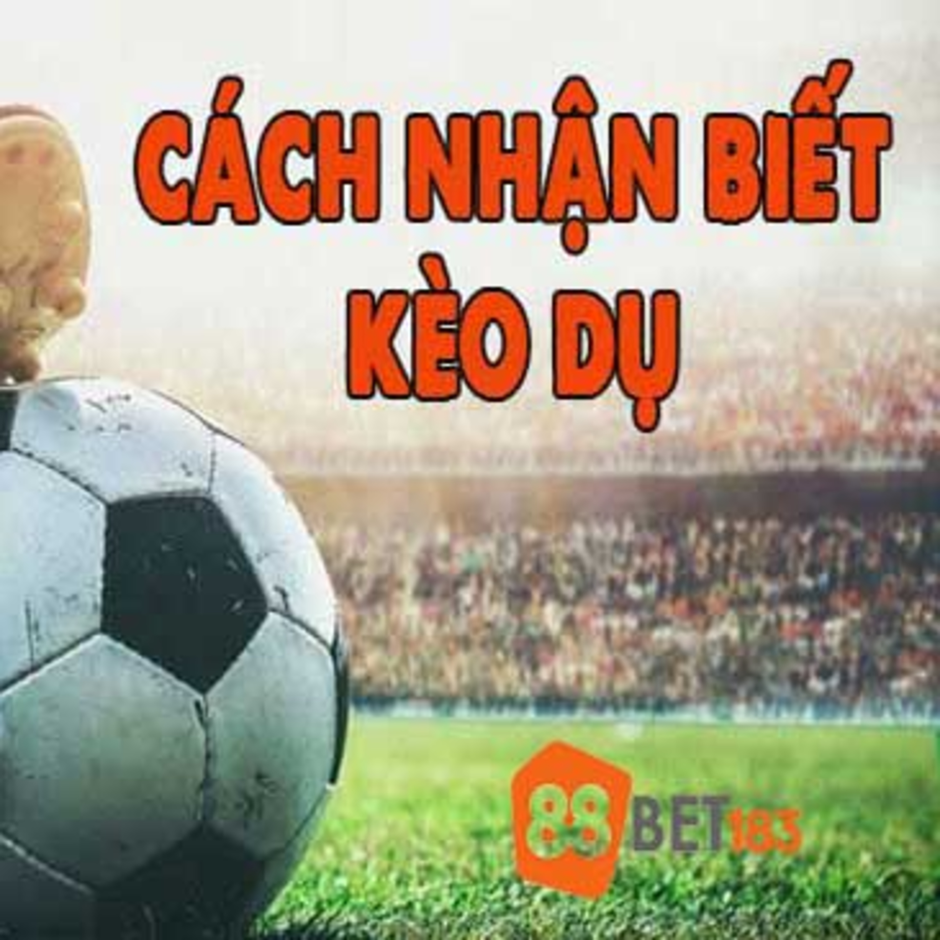 188Bet GKCX Link vào 188Bet khi bị chặn Nhanh Chóng Nhất