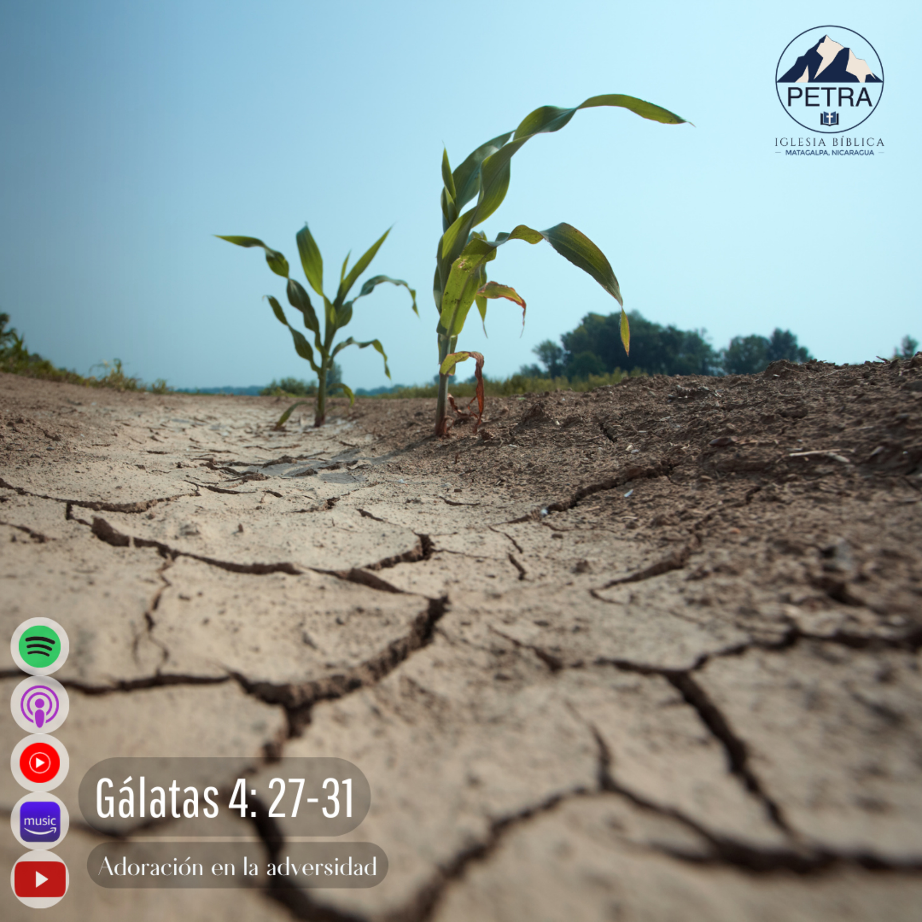 Gálatas 4: 27-31 episode artwork