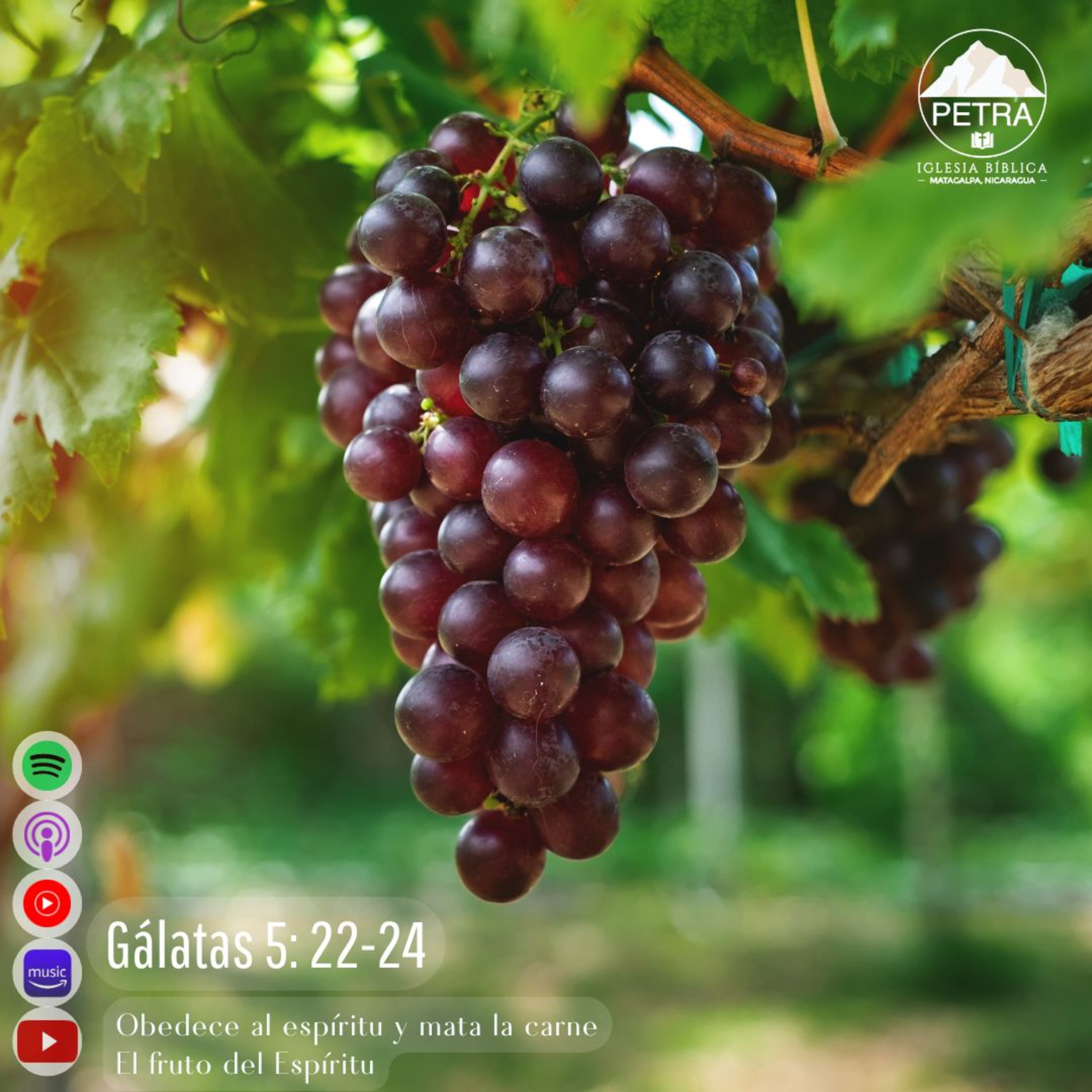 Gálatas 5: 22-24 episode artwork