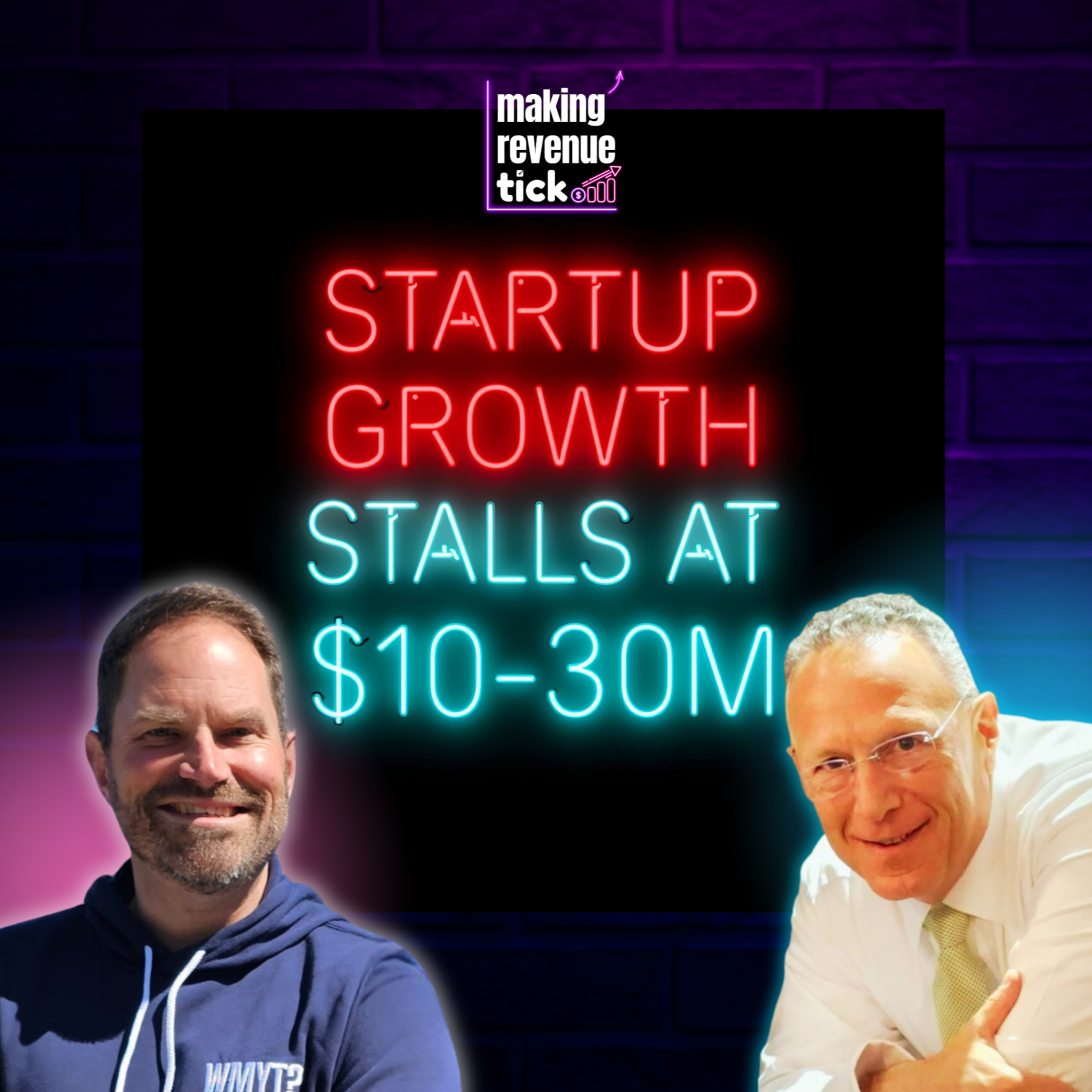 E.102 - Why SaaS Growth Stalls at $10-30M ARR: Solve Problems Customers Really Care About w/Mike Muhlfelder episode artwork