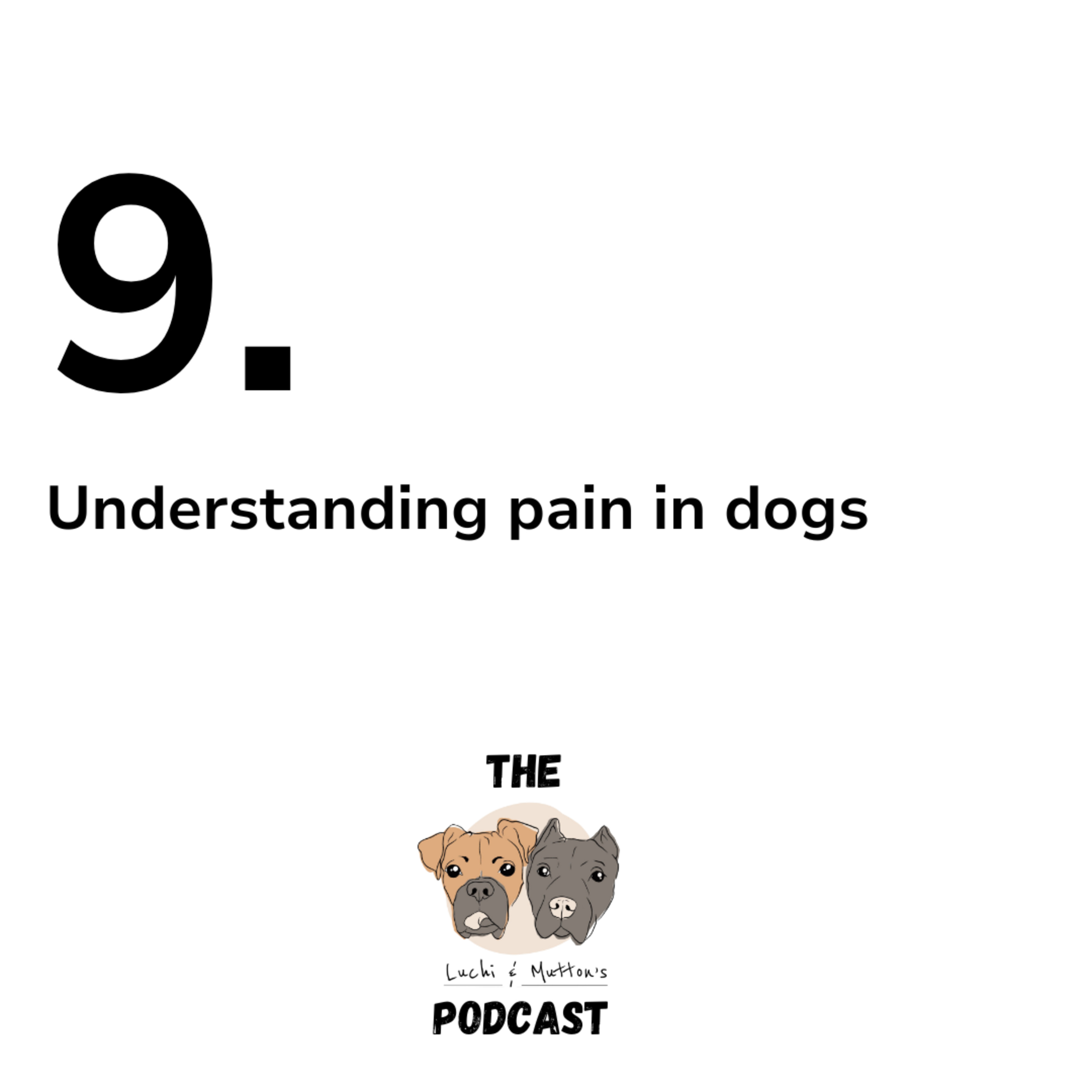 The Luchi & Mutton\'s Podcast, Dog Behaviour & Nutrition, and All Things Dog