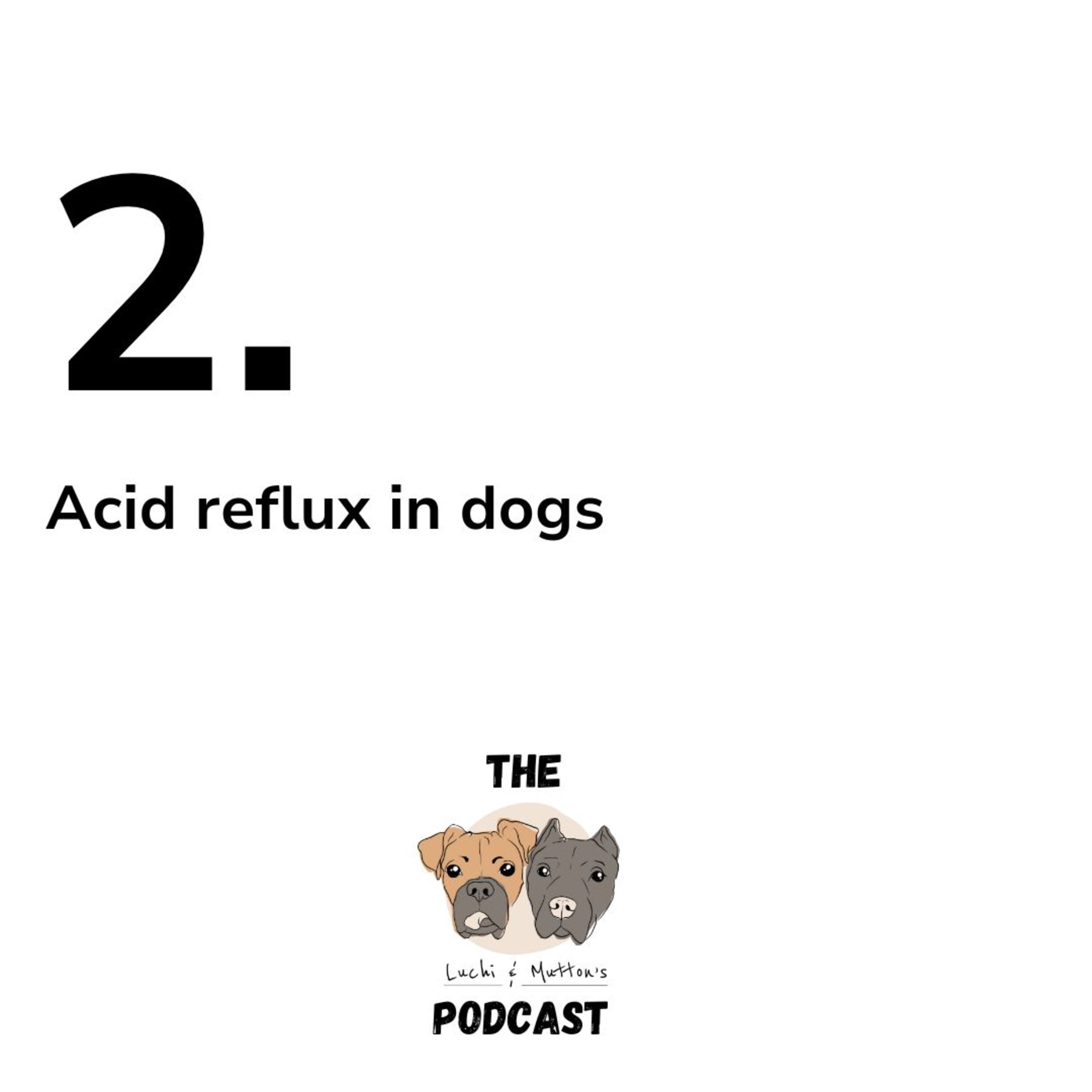 The Luchi & Mutton\'s Podcast, Dog Behaviour & Nutrition, and All Things Dog