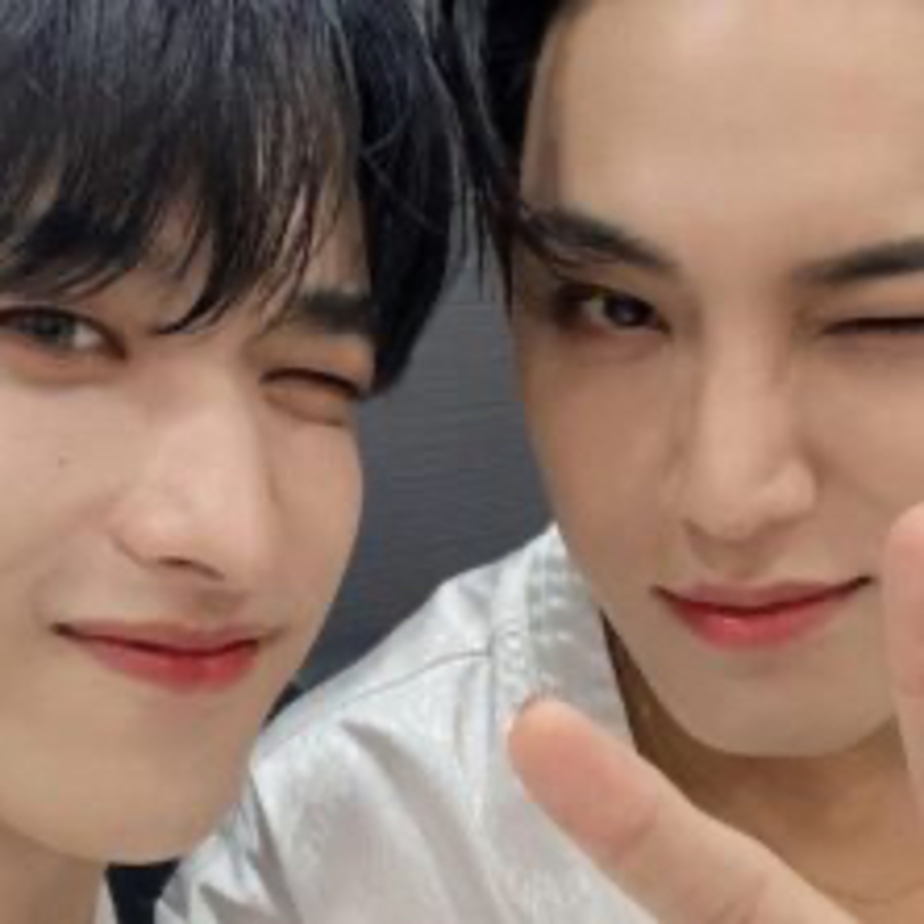Stray Kids Felix and Seventeen fan add Seventeen members DK and Mingyu