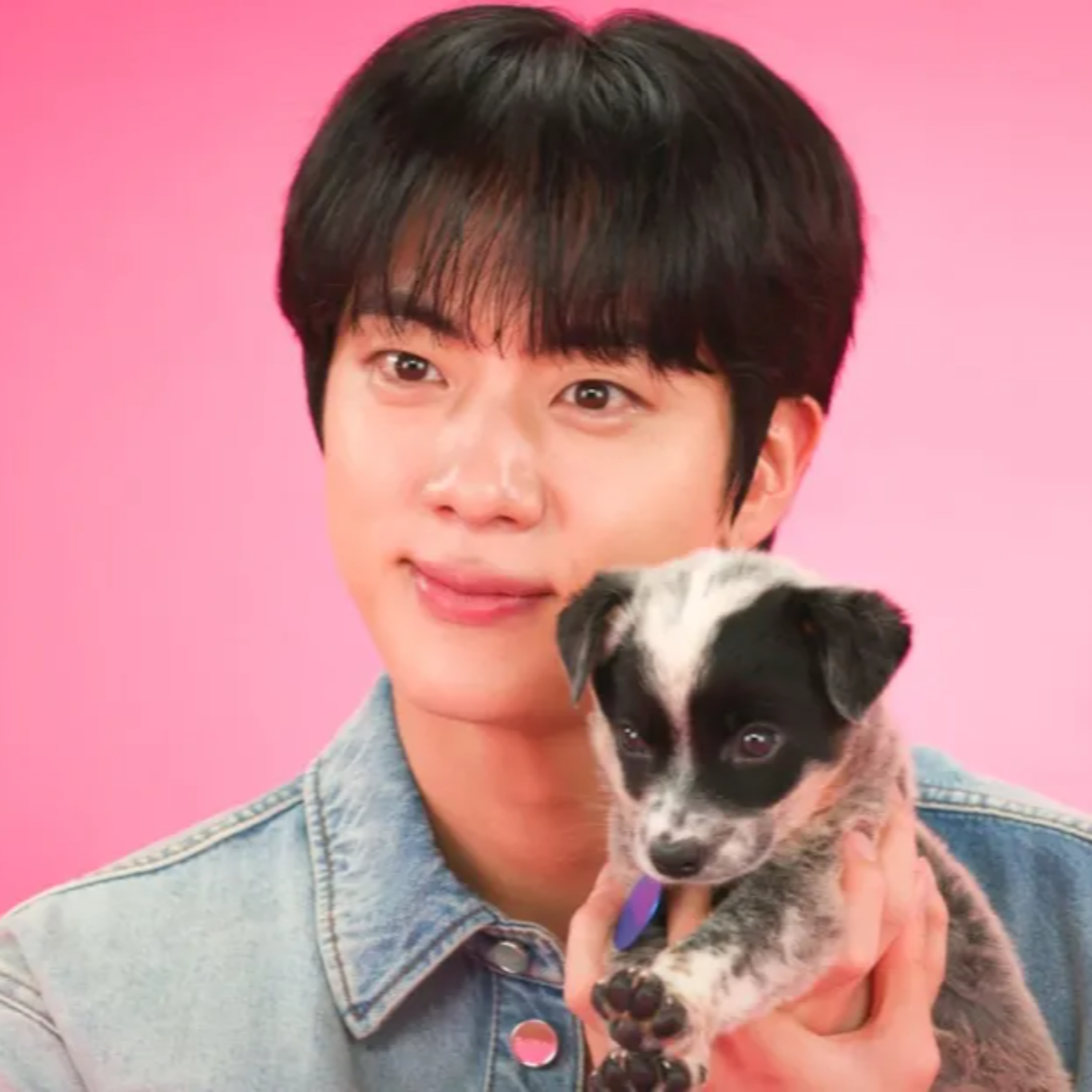 Part 1/ Jin Says He’d Love to Collab With Bruno Mars in Puppy Interview