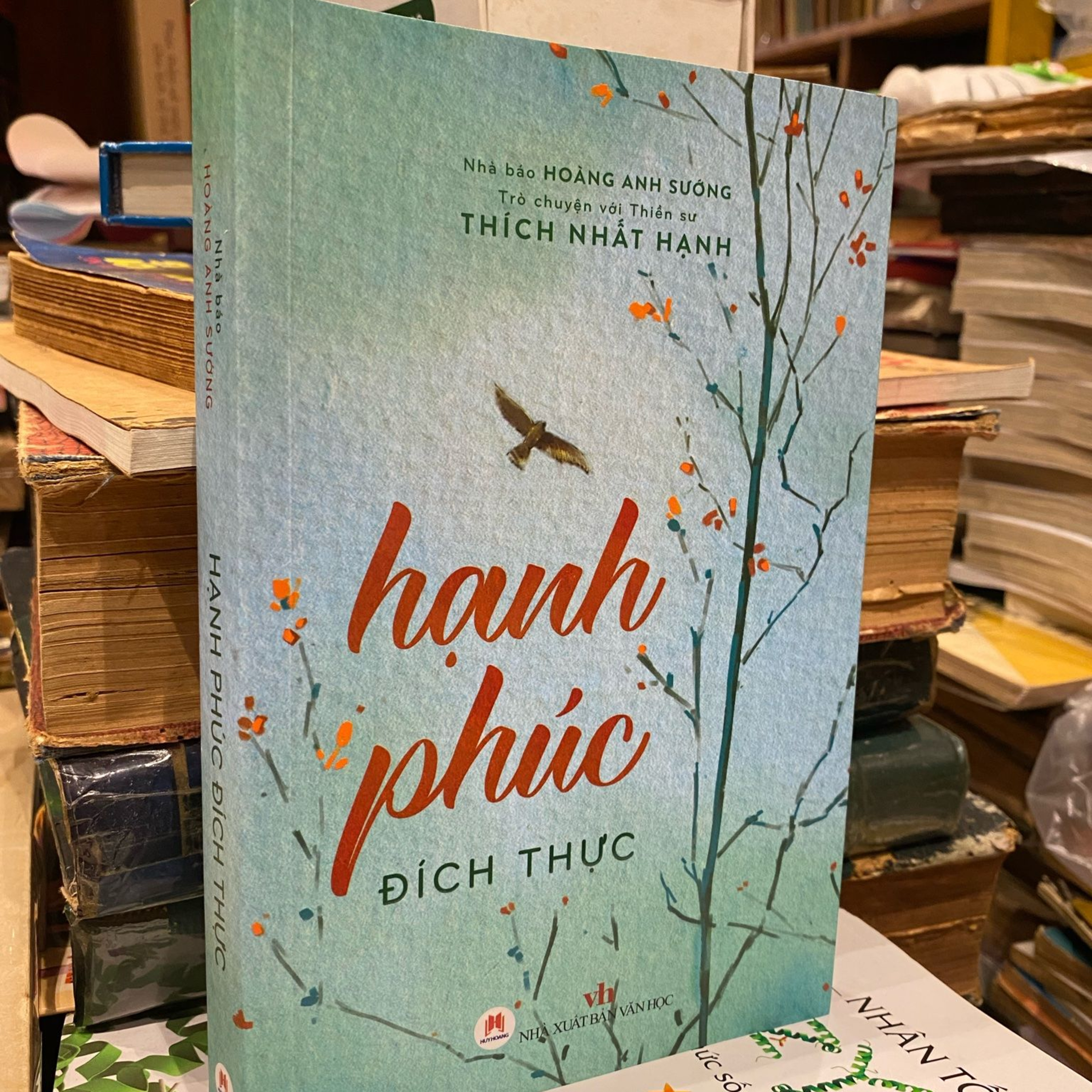 Review sách Hạnh Phúc đích thực (Thầy Thích Nhất Hạnh) - Tập 8 episode artwork