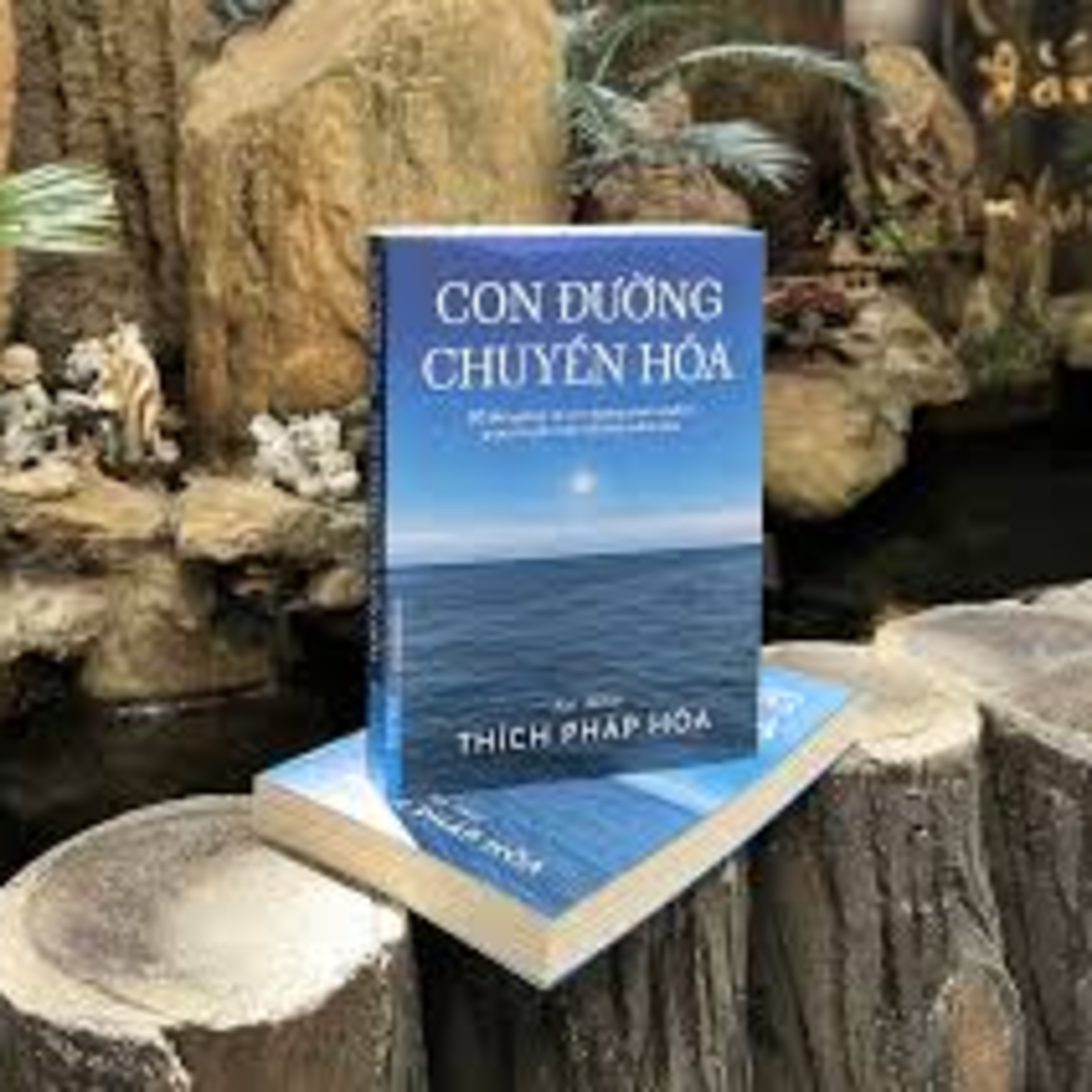 Review sách Con Đường Chuyển Hóa (Thầy Thích Nhất Hạnh) - Tập 12 episode artwork