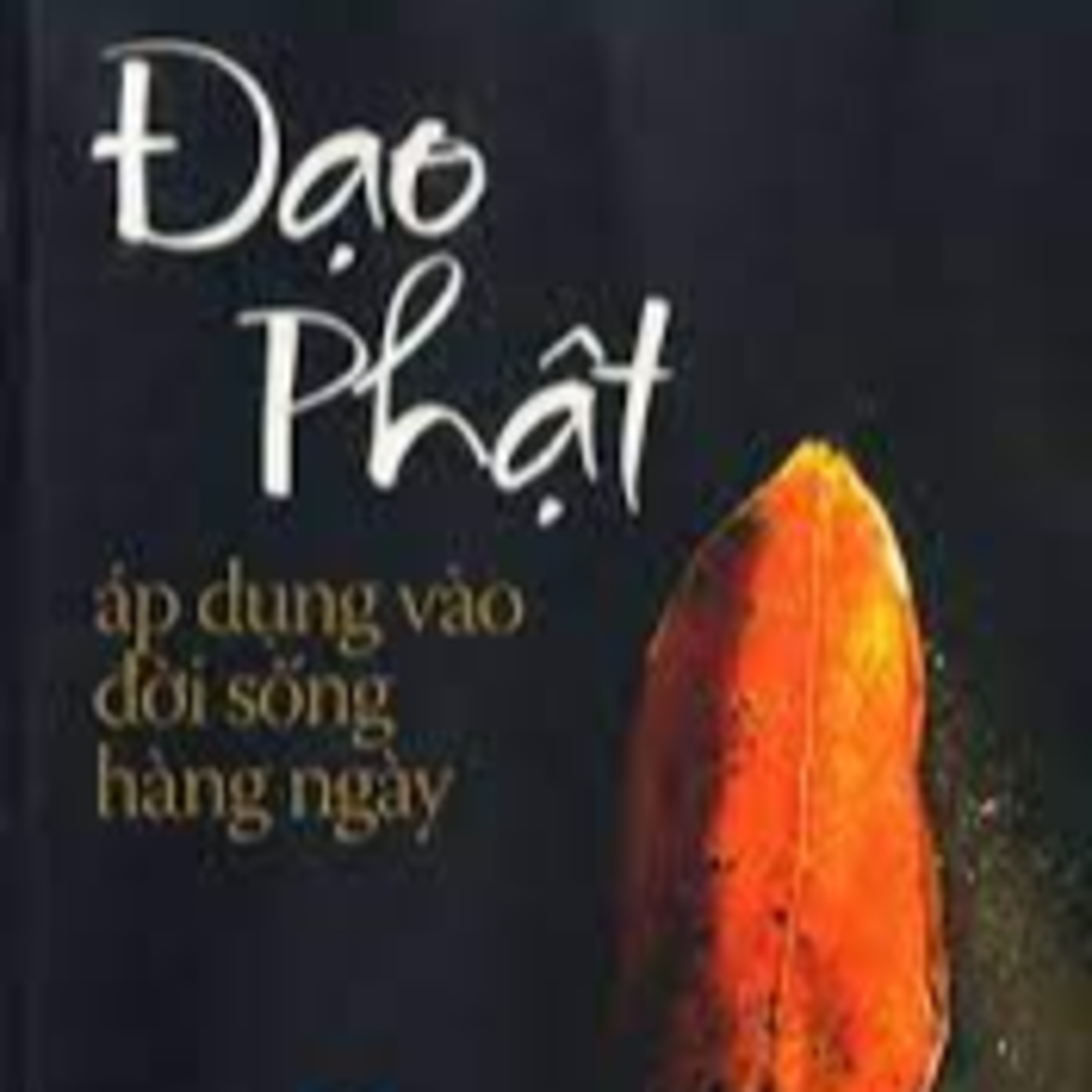 Review sách	Đạo phật áp dụng vào đời sống hàng ngày(Thầy Thích Nhất Hạnh) - Tập 33 episode artwork