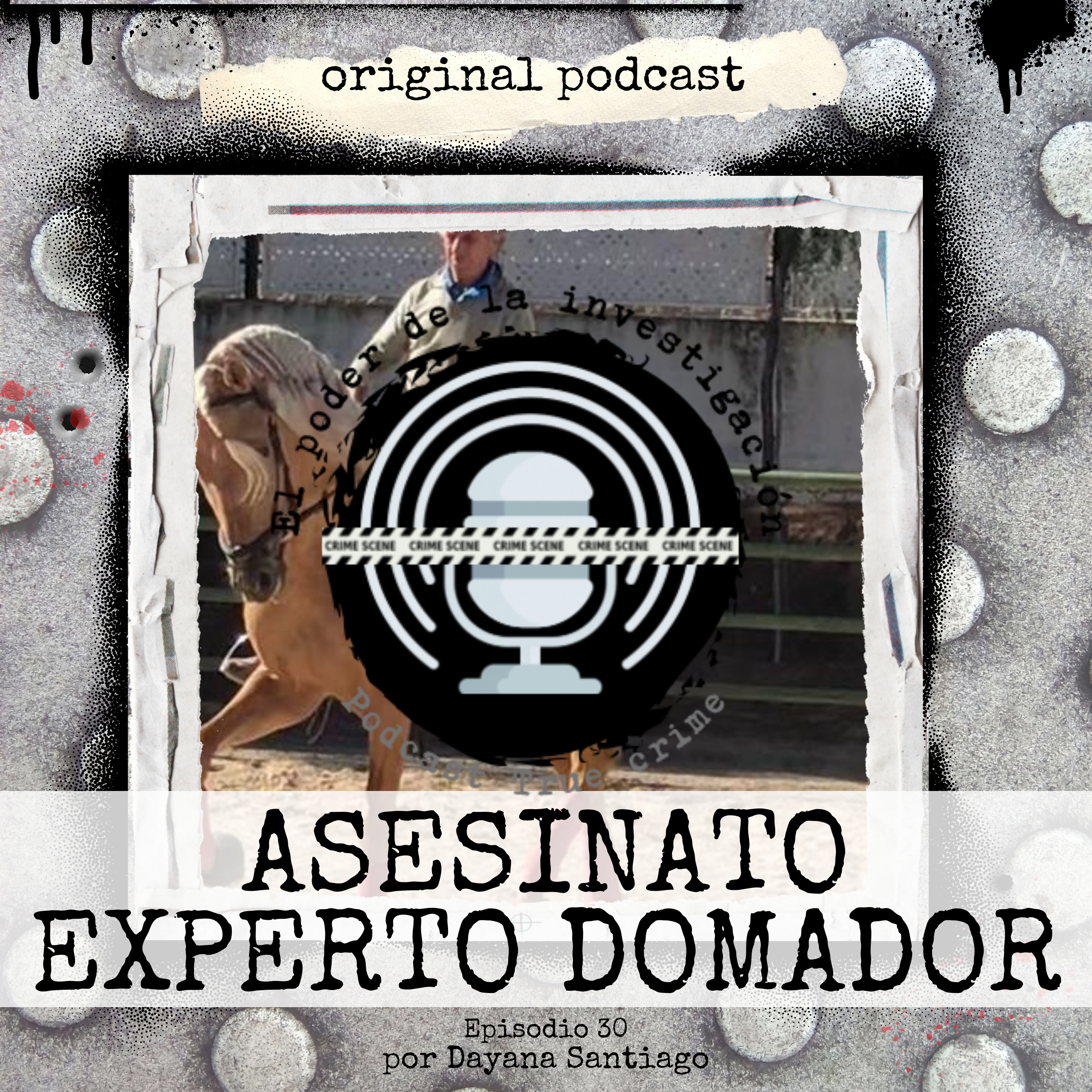 30. ASESINATO EXPERTO DOMADOR episode artwork
