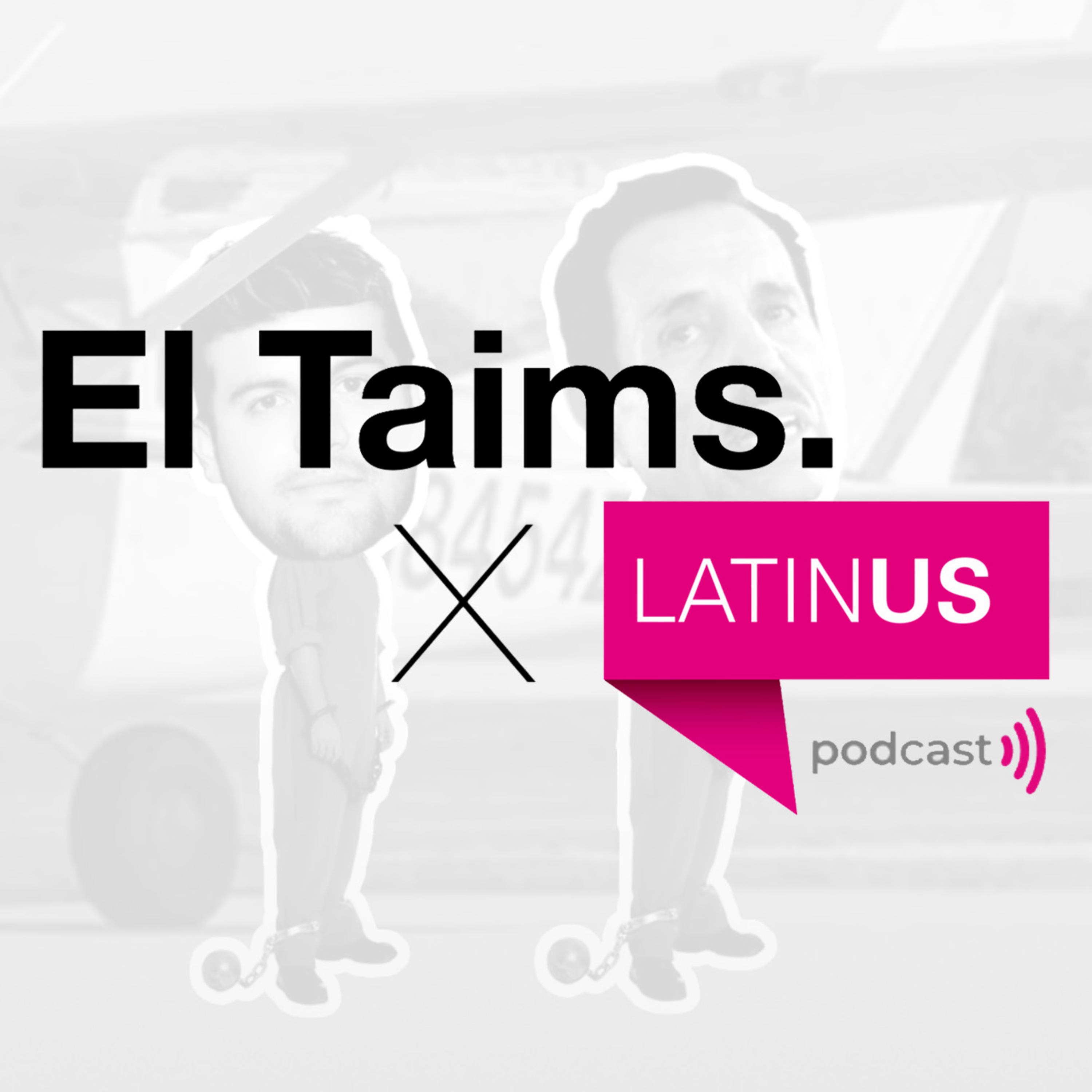 El Taims