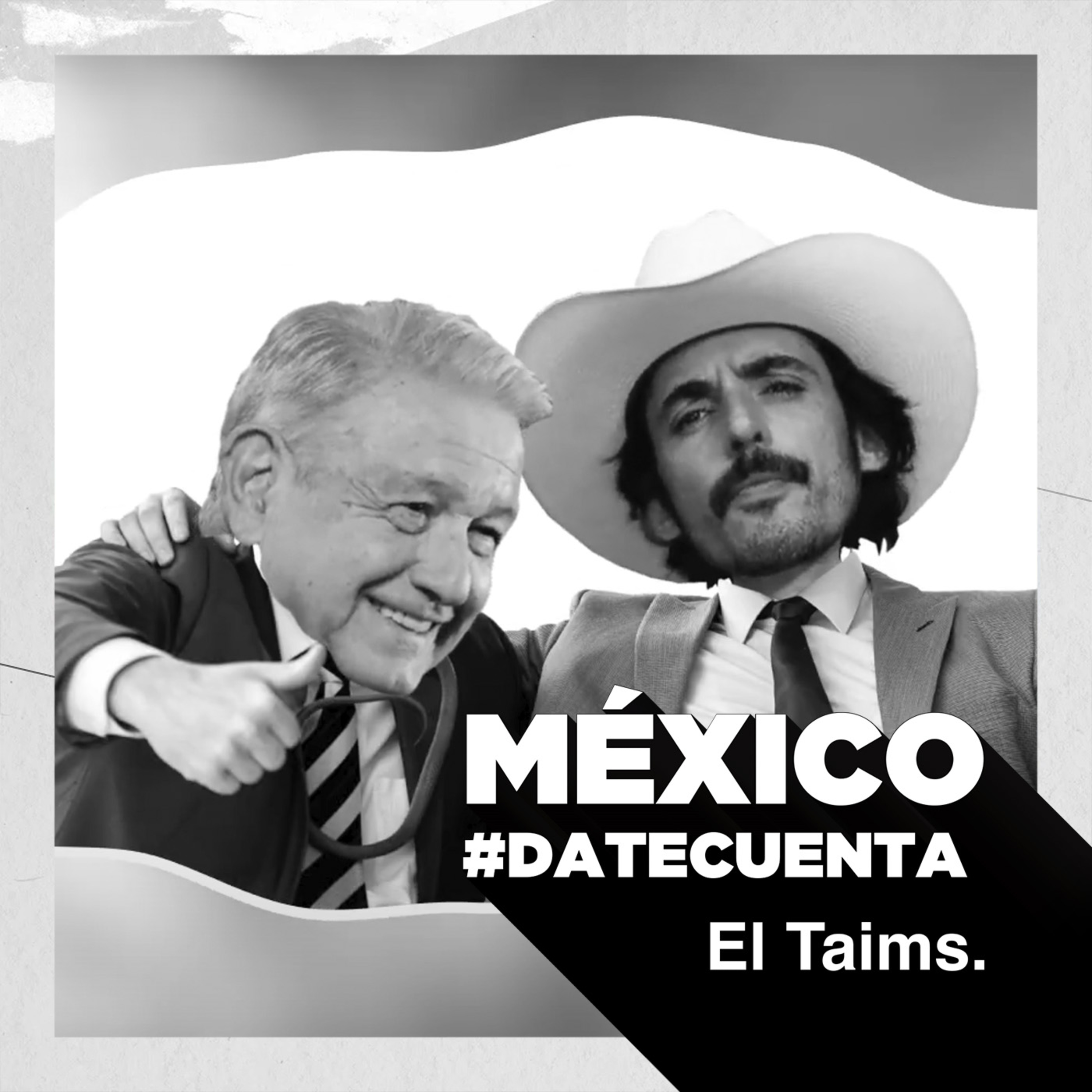 El Taims