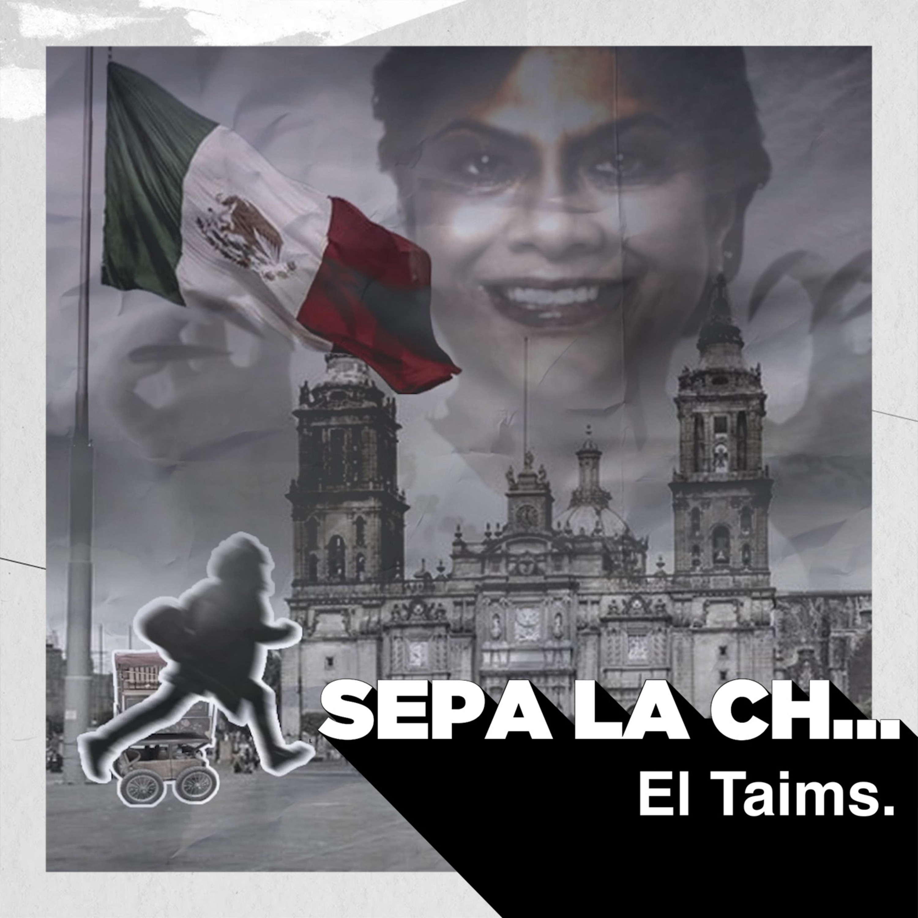 El Taims