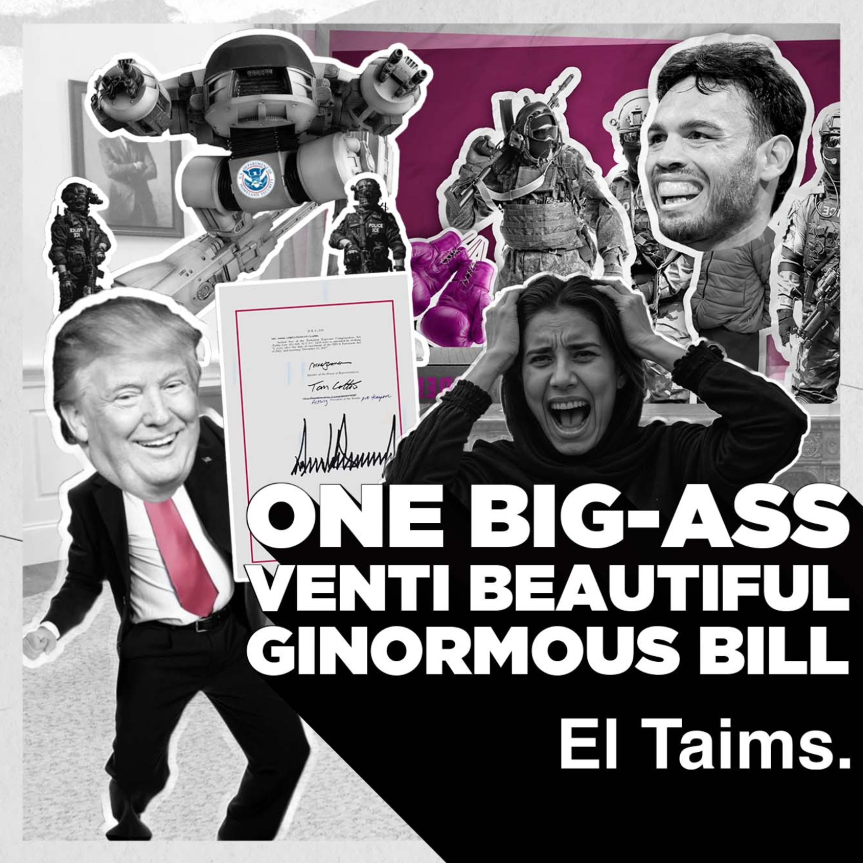 El Taims