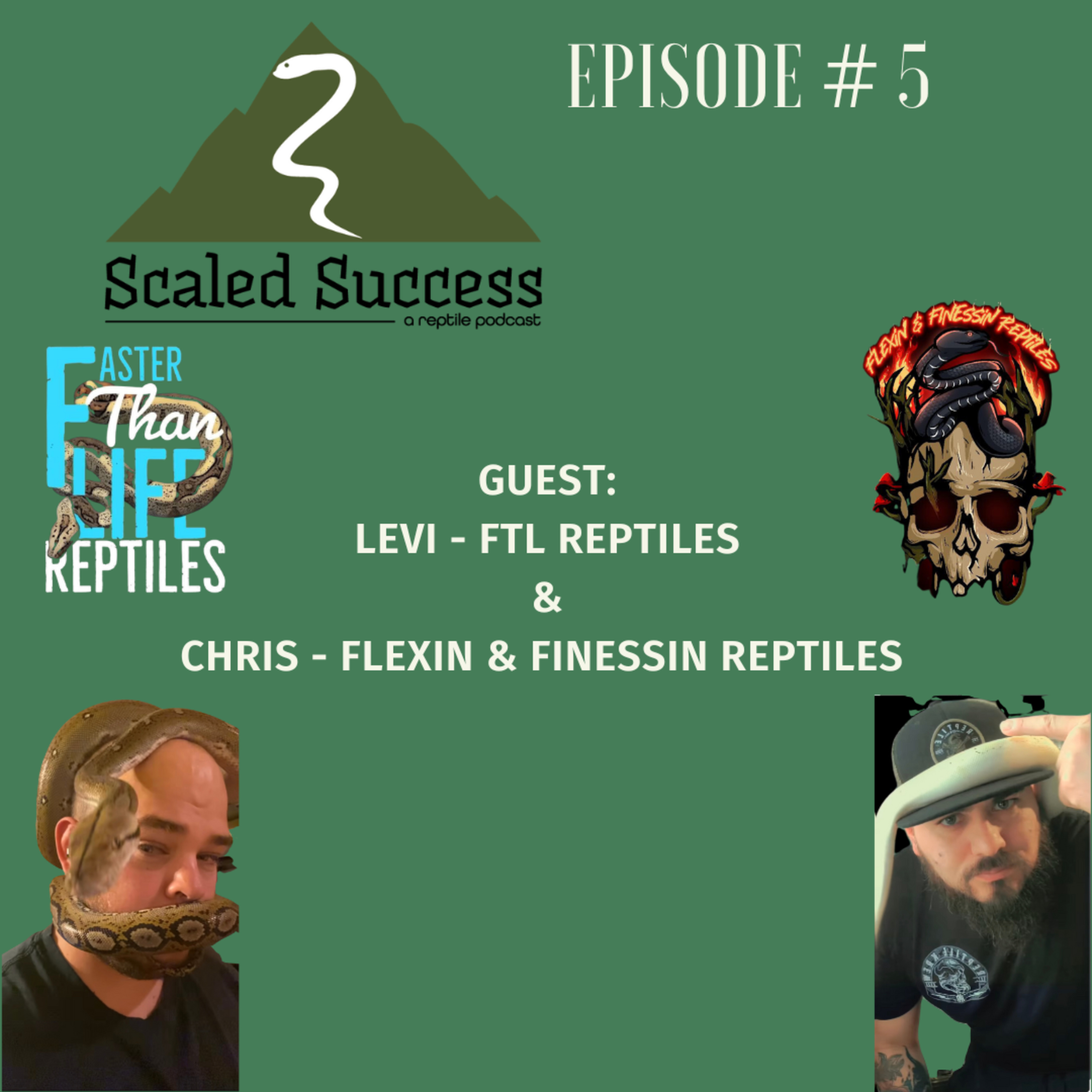 Scaled Success Reptile Podcast