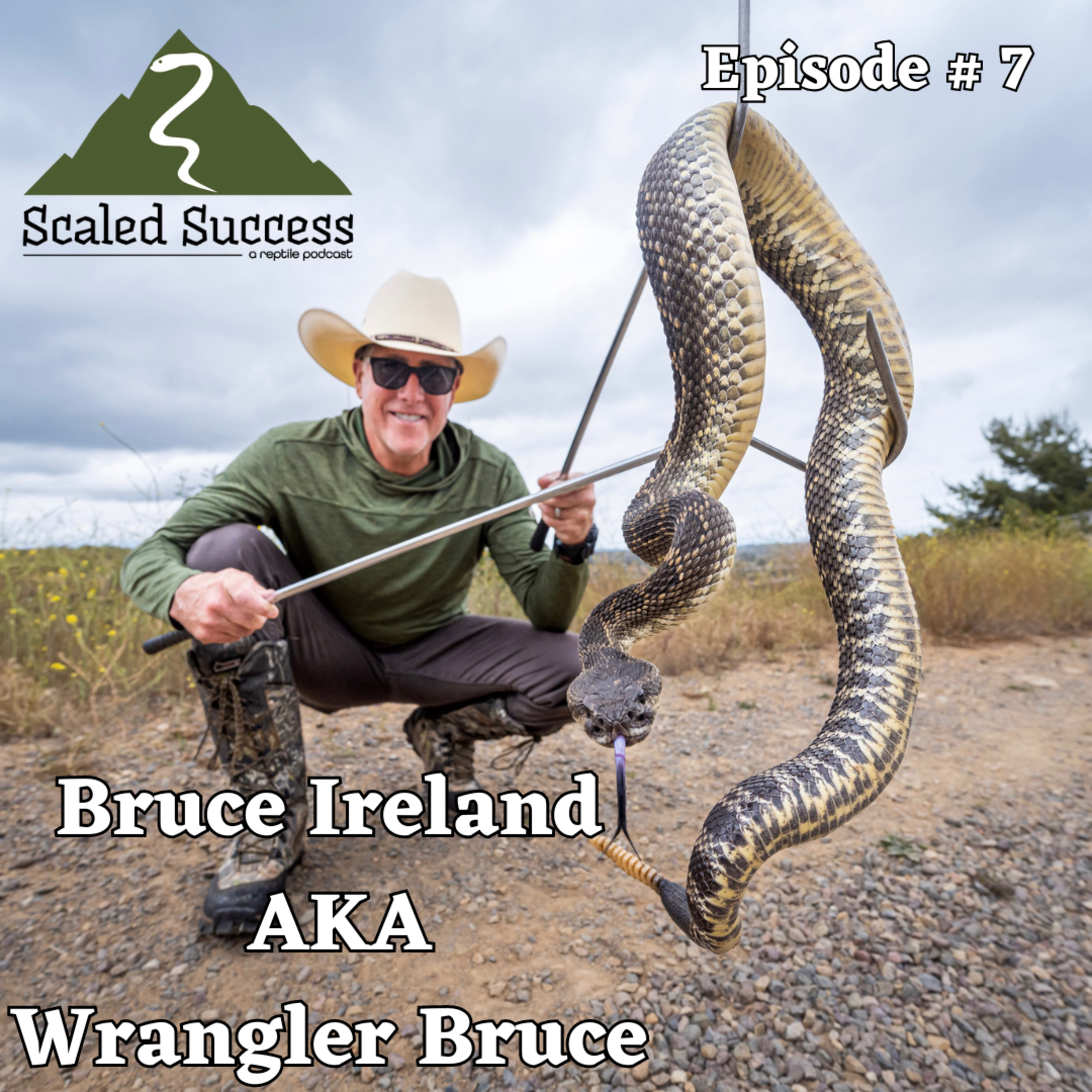 Scaled Success Reptile Podcast