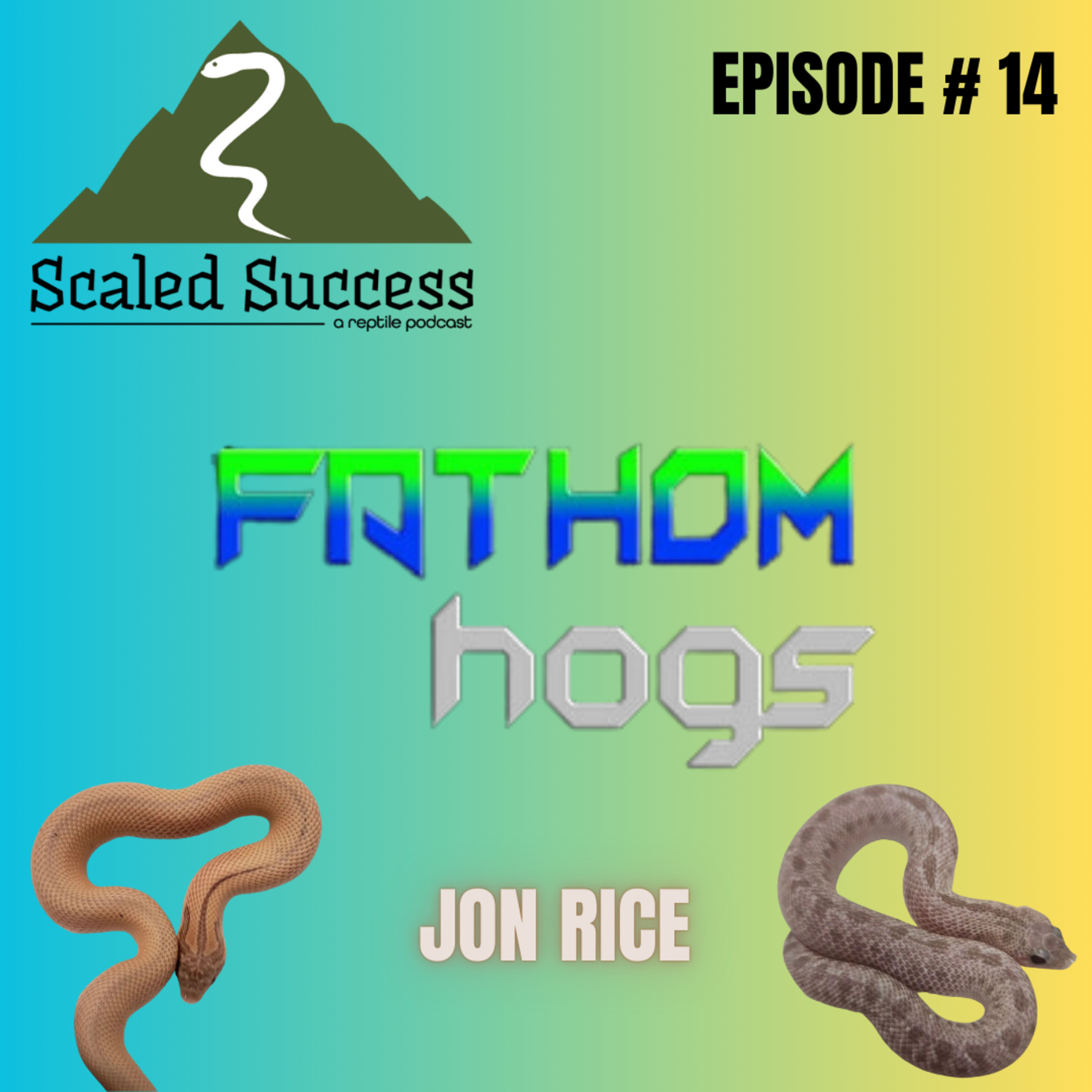 Scaled Success Reptile Podcast