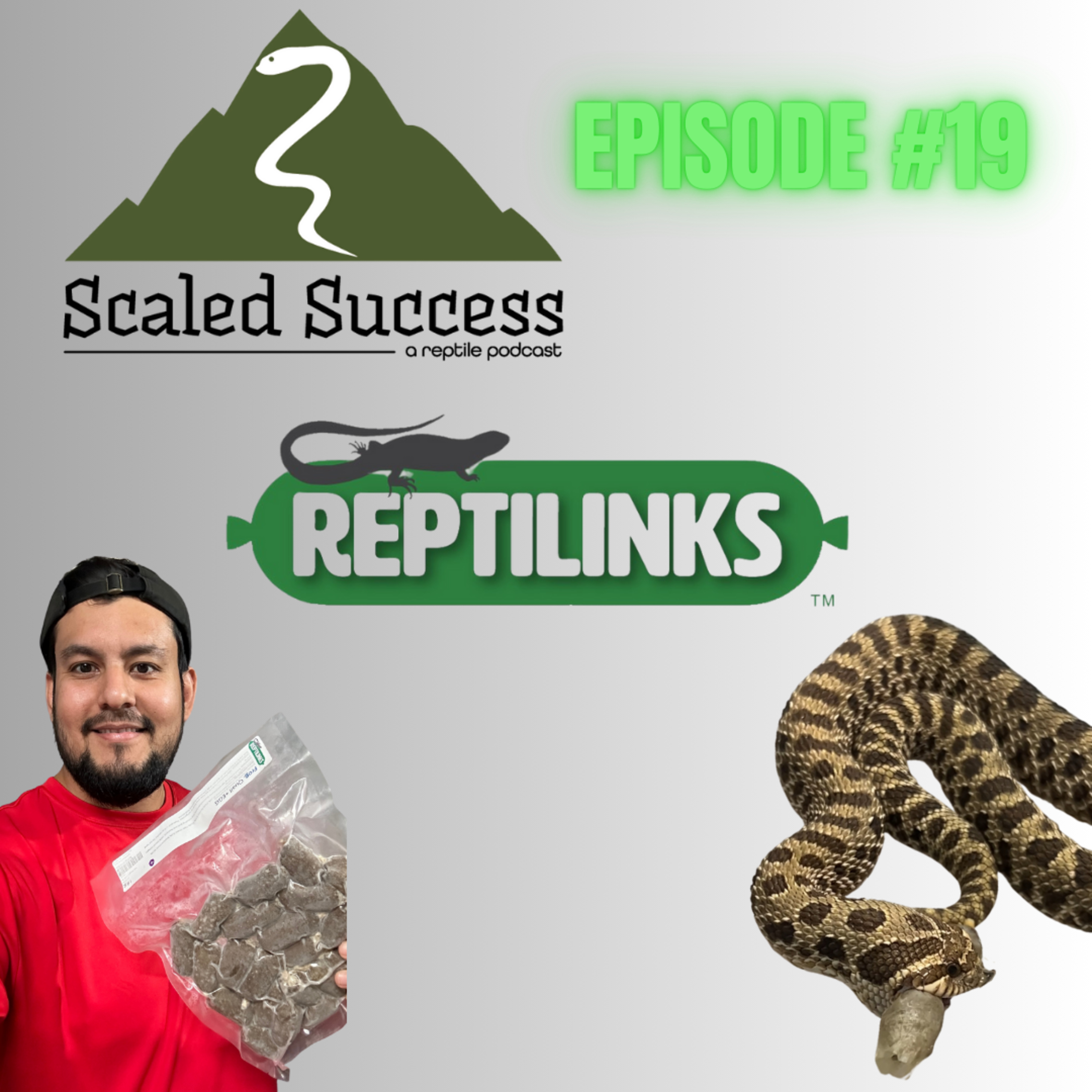 Scaled Success Reptile Podcast