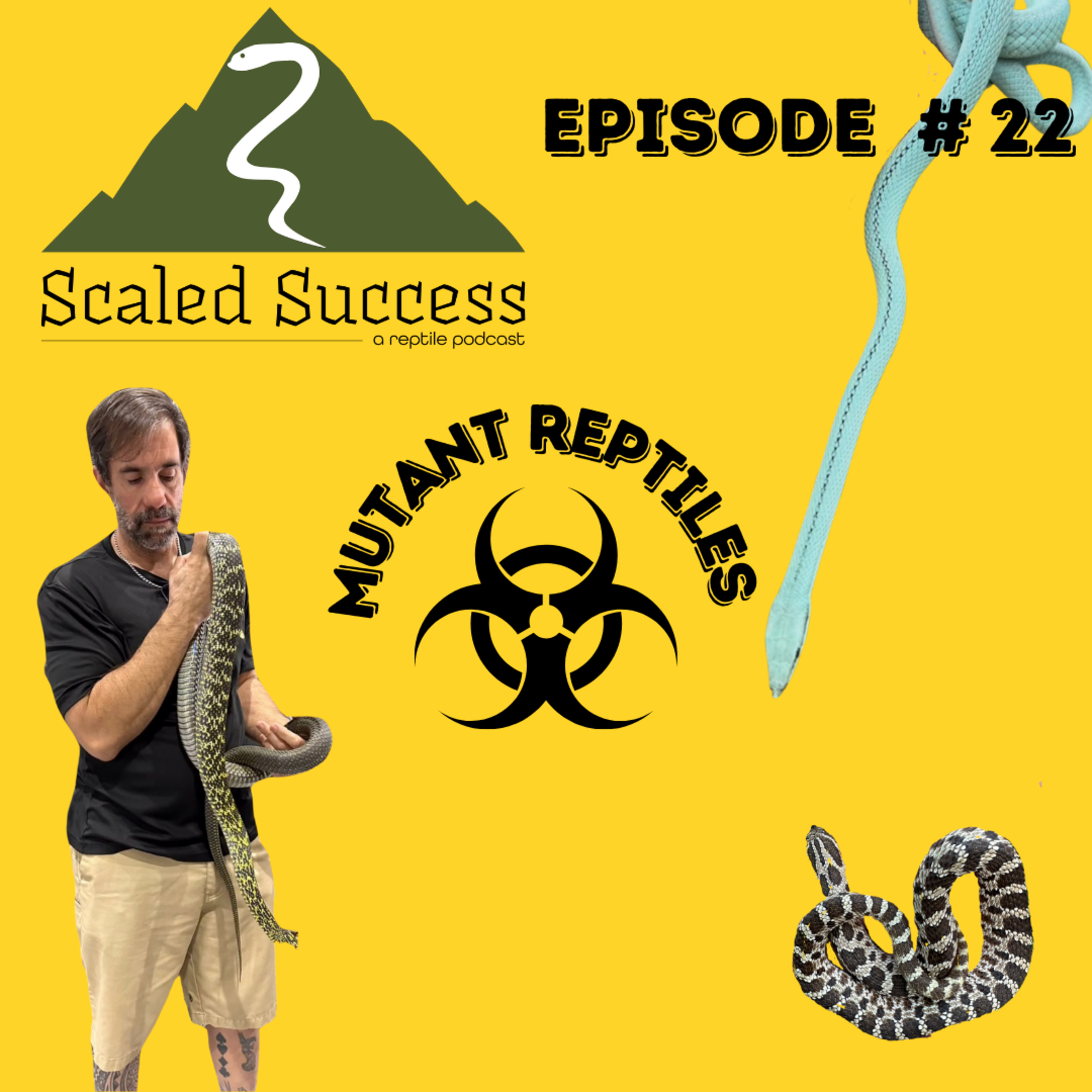 Scaled Success Reptile Podcast