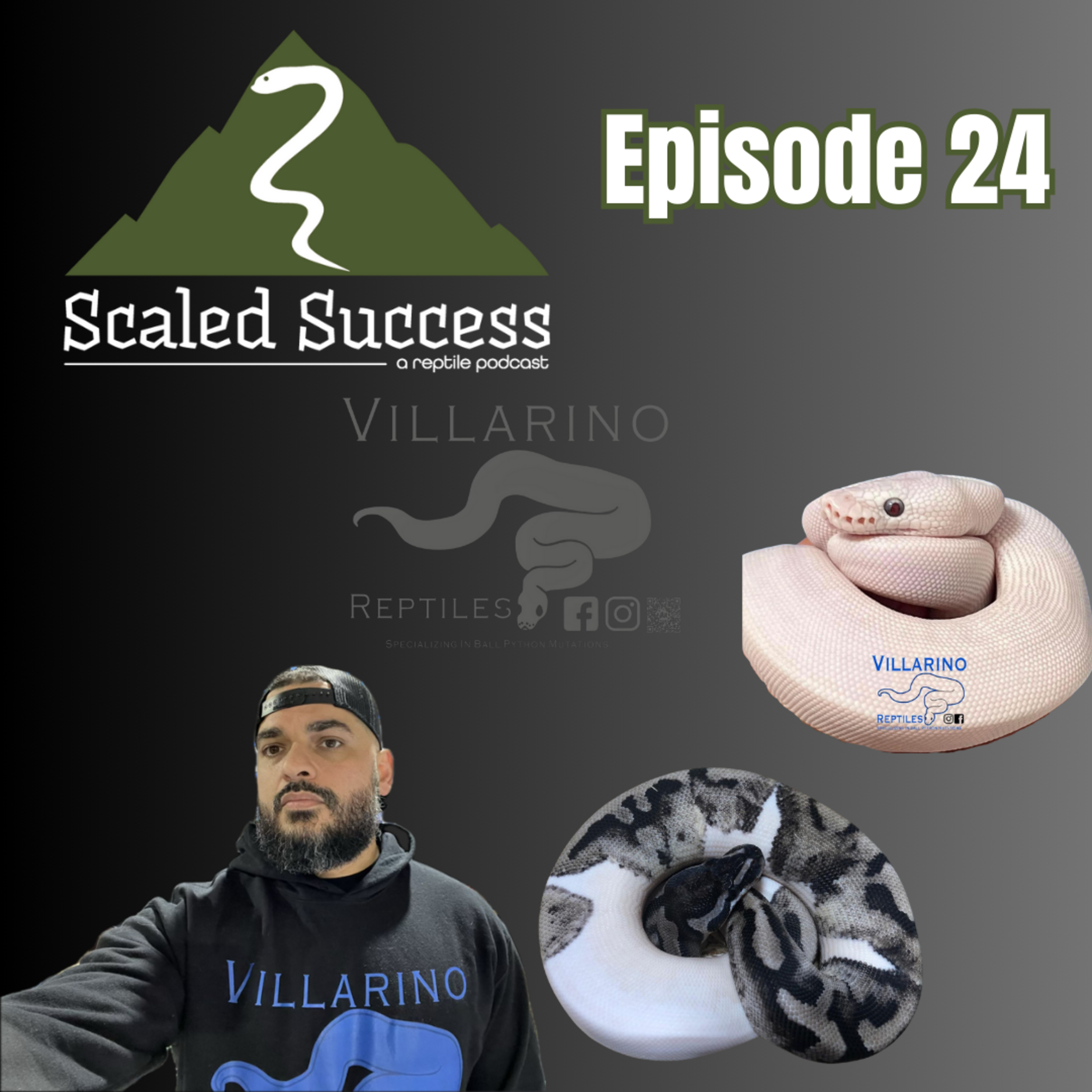 Scaled Success Reptile Podcast