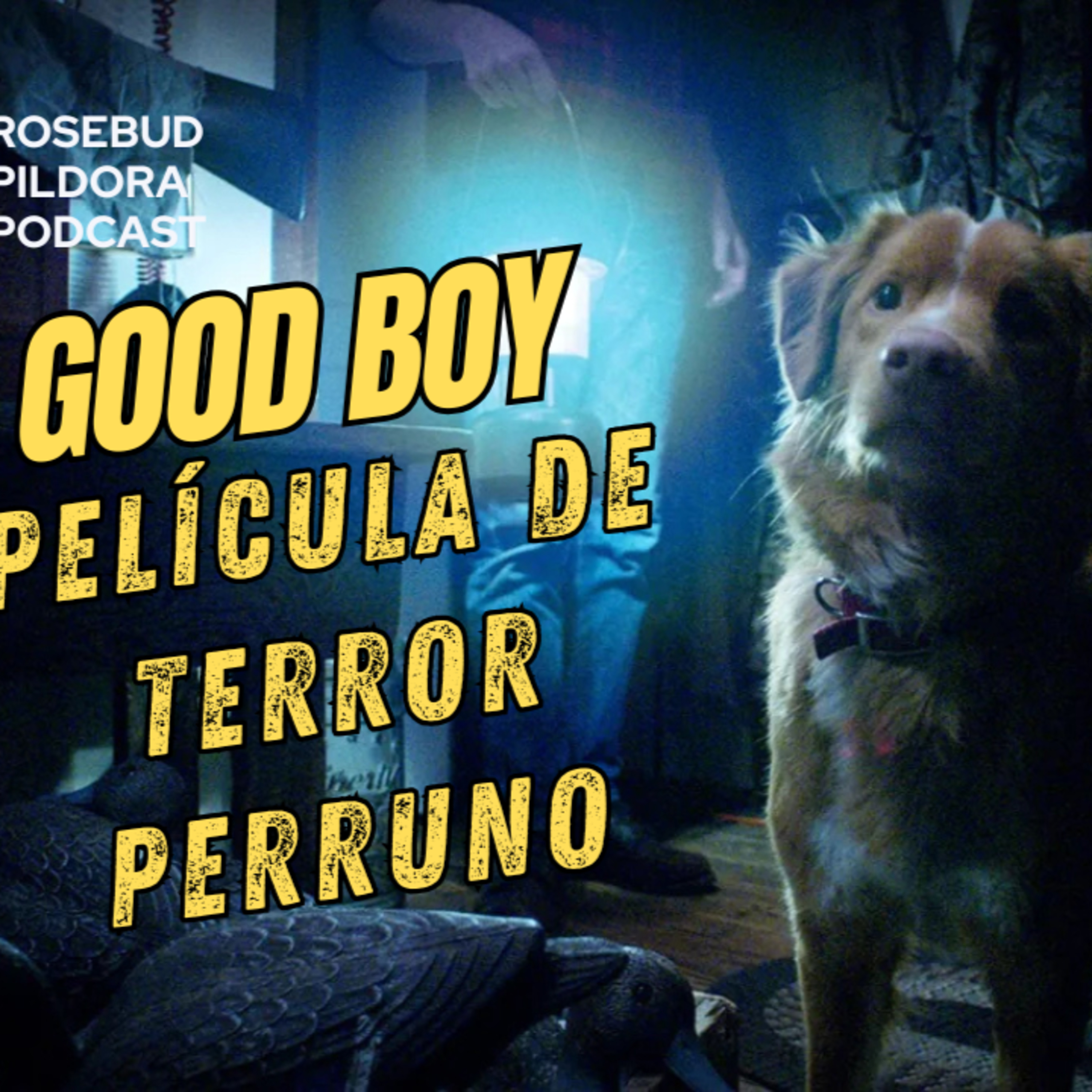  No mires a tu perro igual después de ver GOOD BOY episode artwork