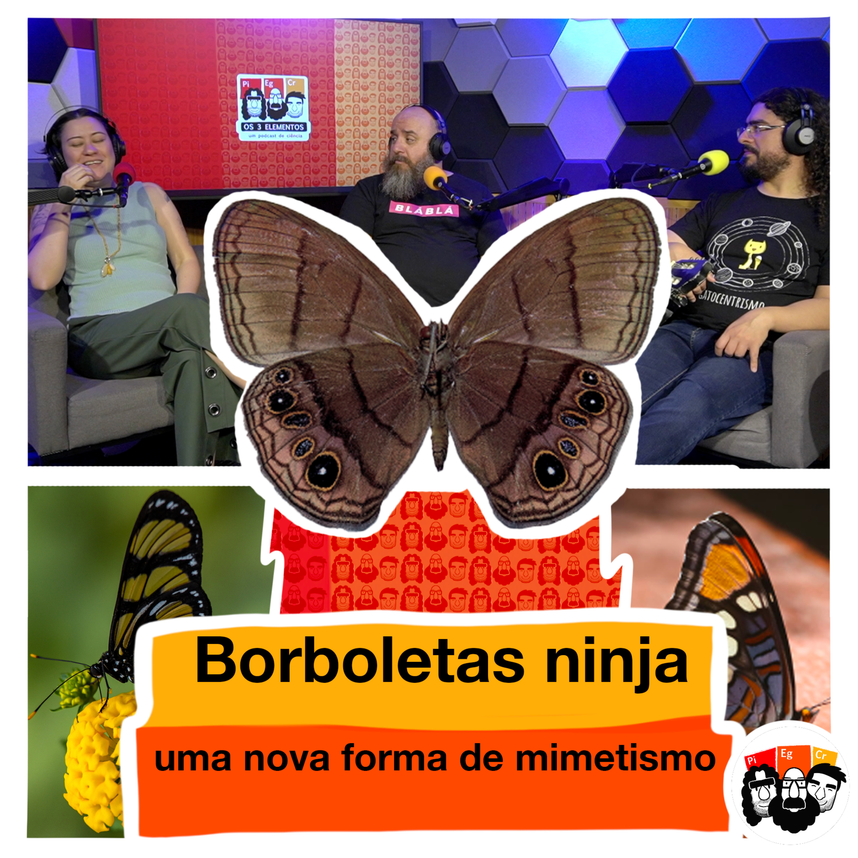 Os três elementos