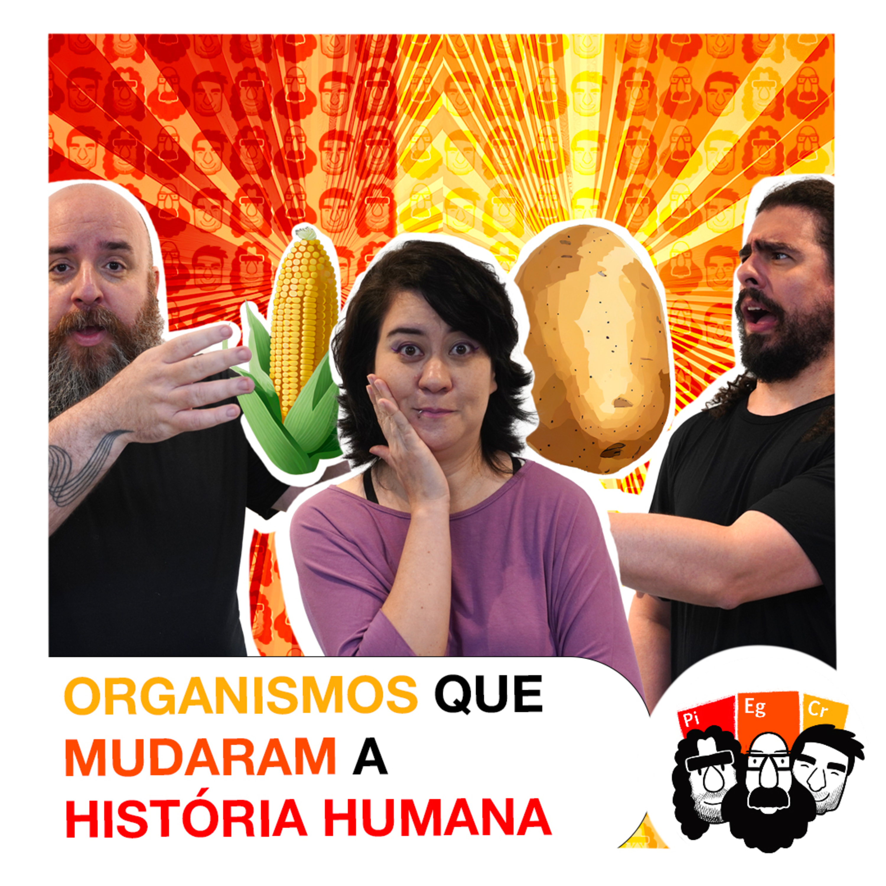 Os três elementos