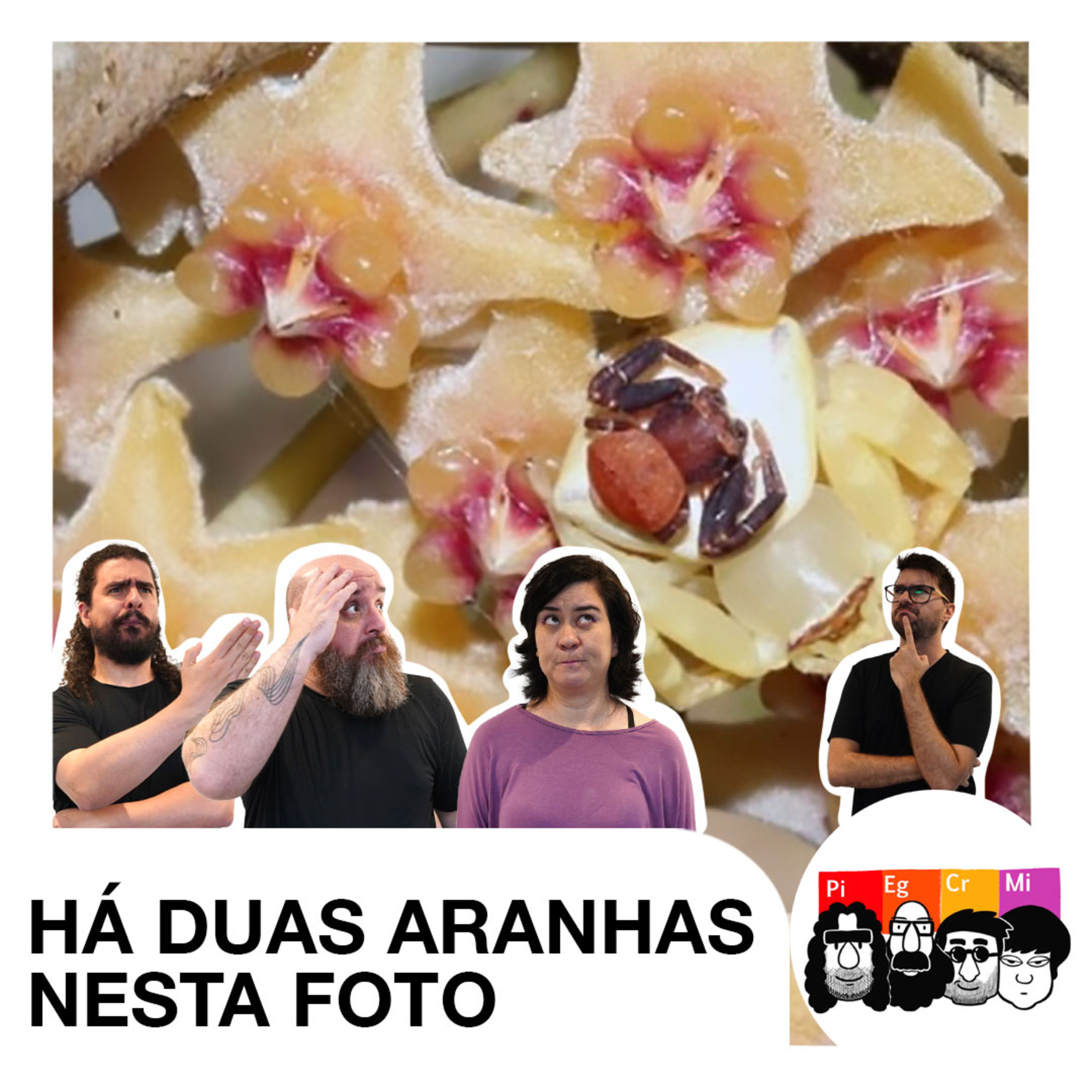 Os três elementos