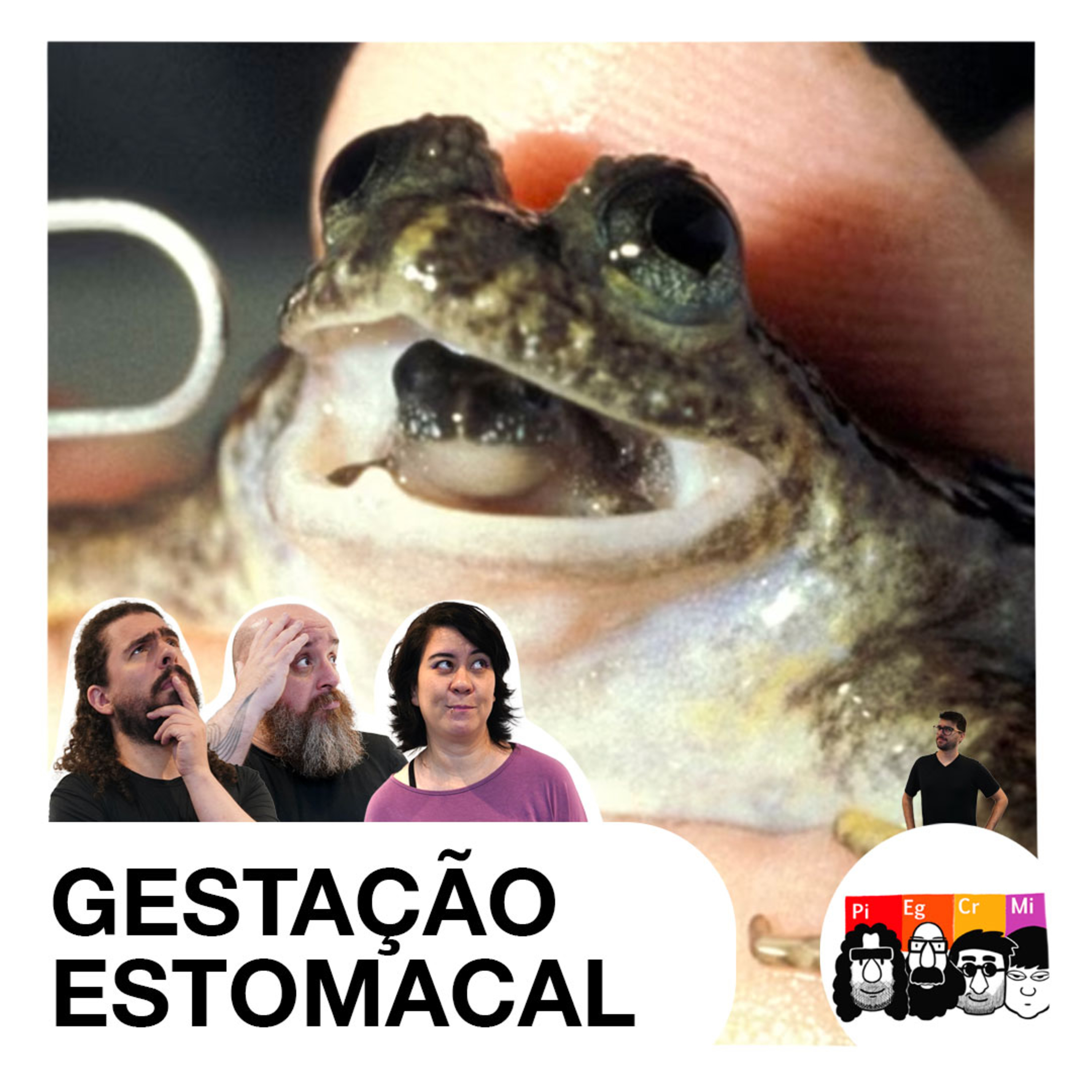 Os três elementos