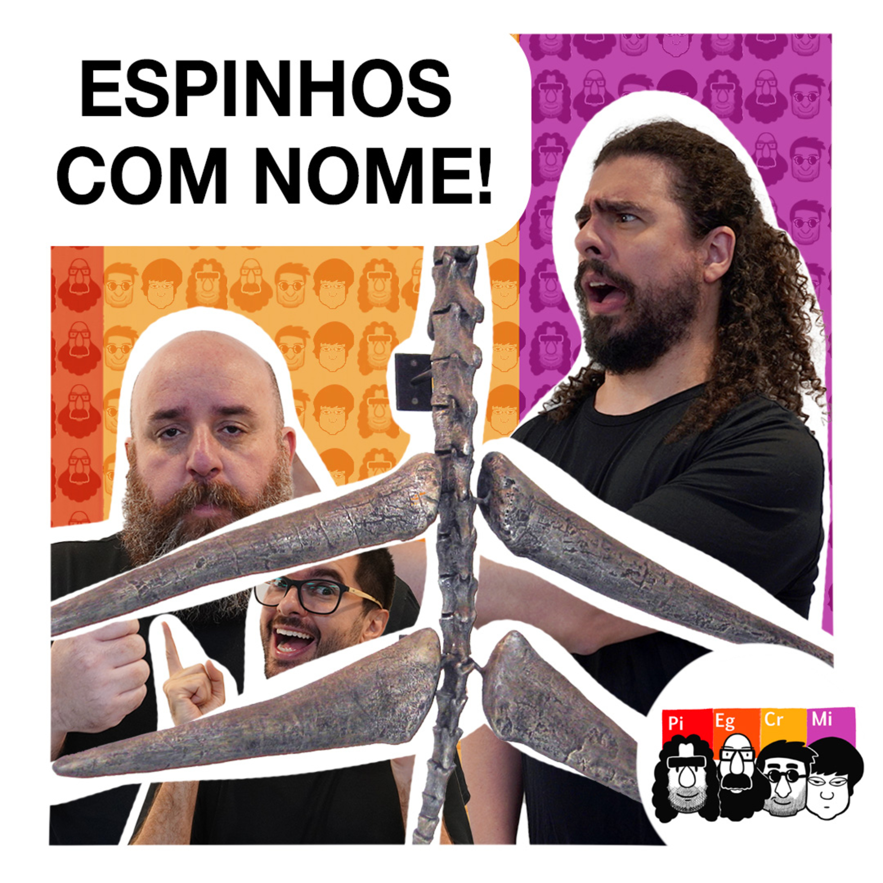 A história por trás dos ESPINHOS DO ESTEGOSSAURO