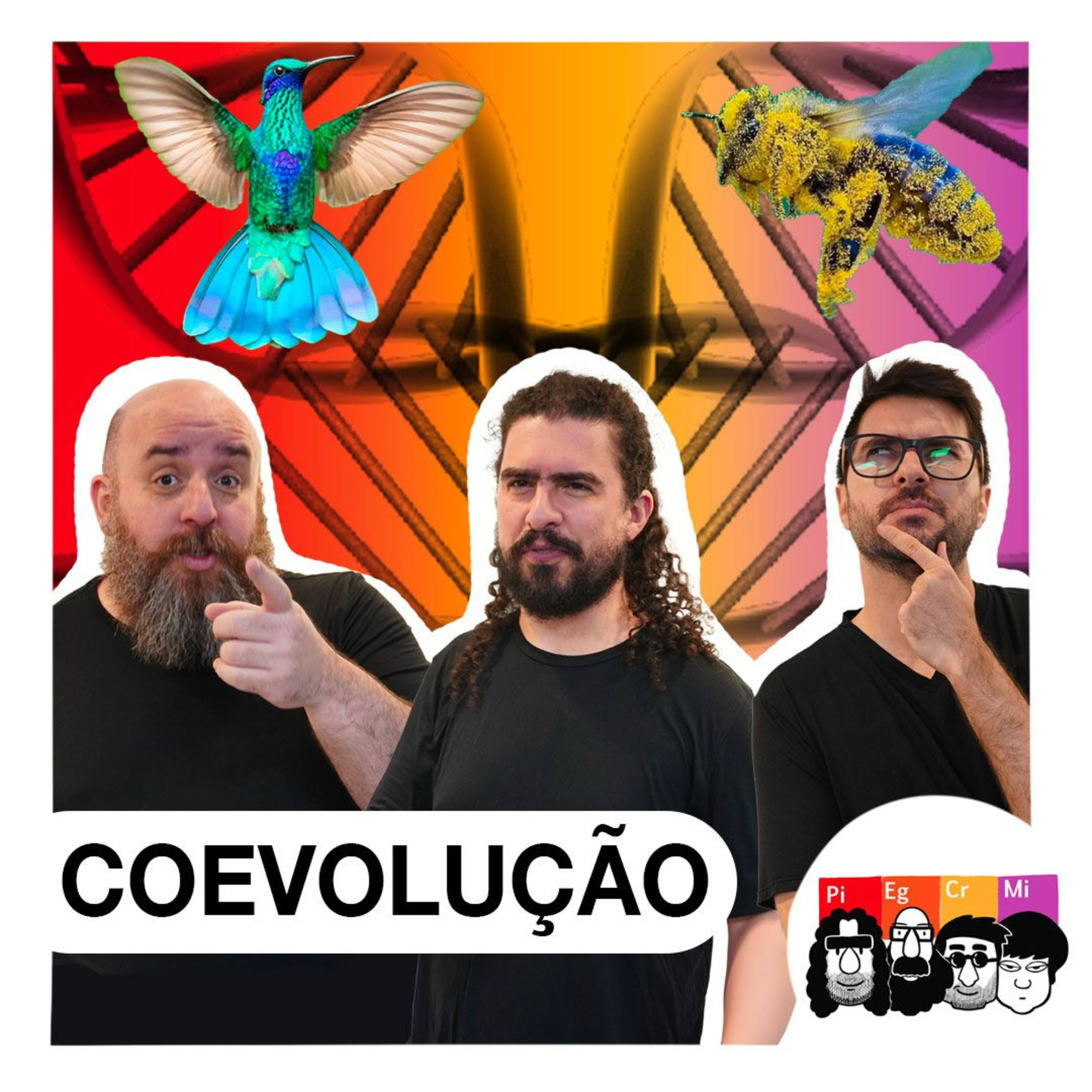 Por que certas FLORES são PERFEITAS para seus POLINIZADORES?