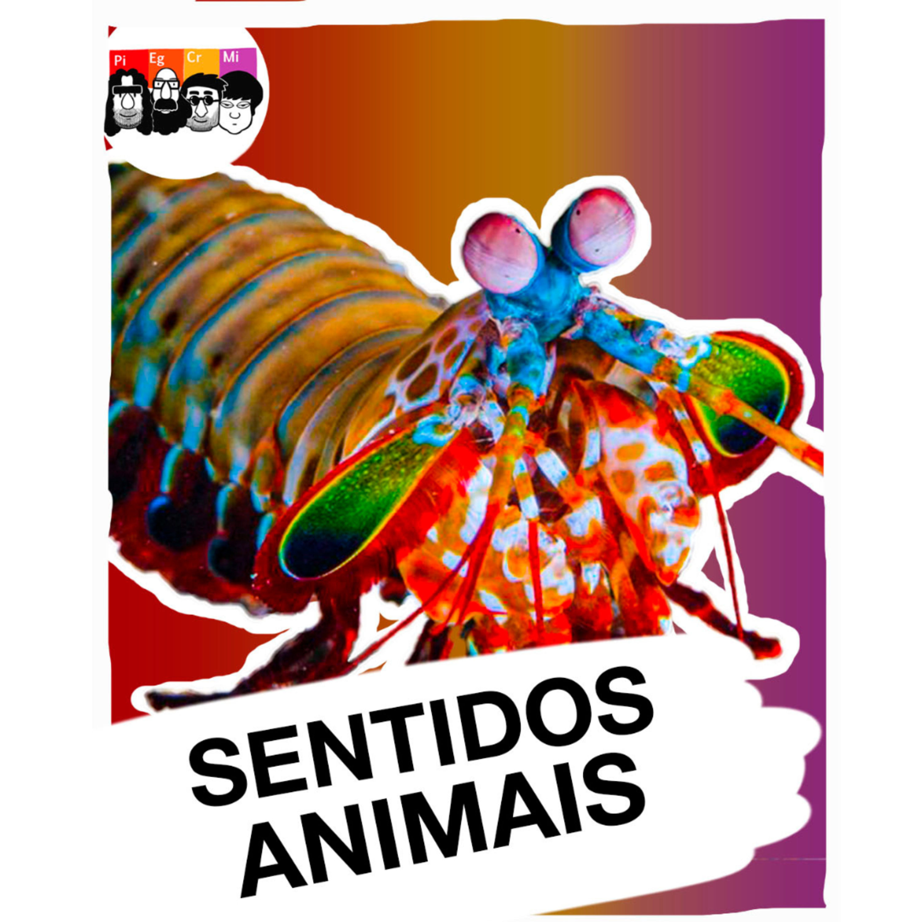 SUPERSENTIDOS: o que CACHORROS, AVES e TAMBURUTACAS são CAPAZES de FAZER?