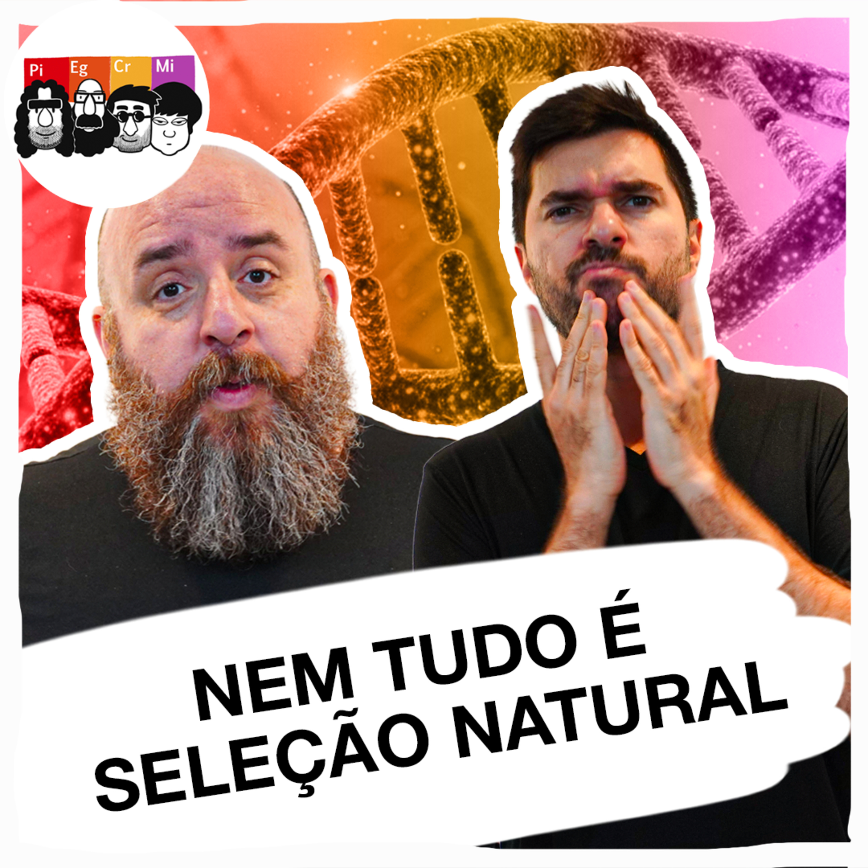 A seleção natural não explica tudo na evolução das espécies?