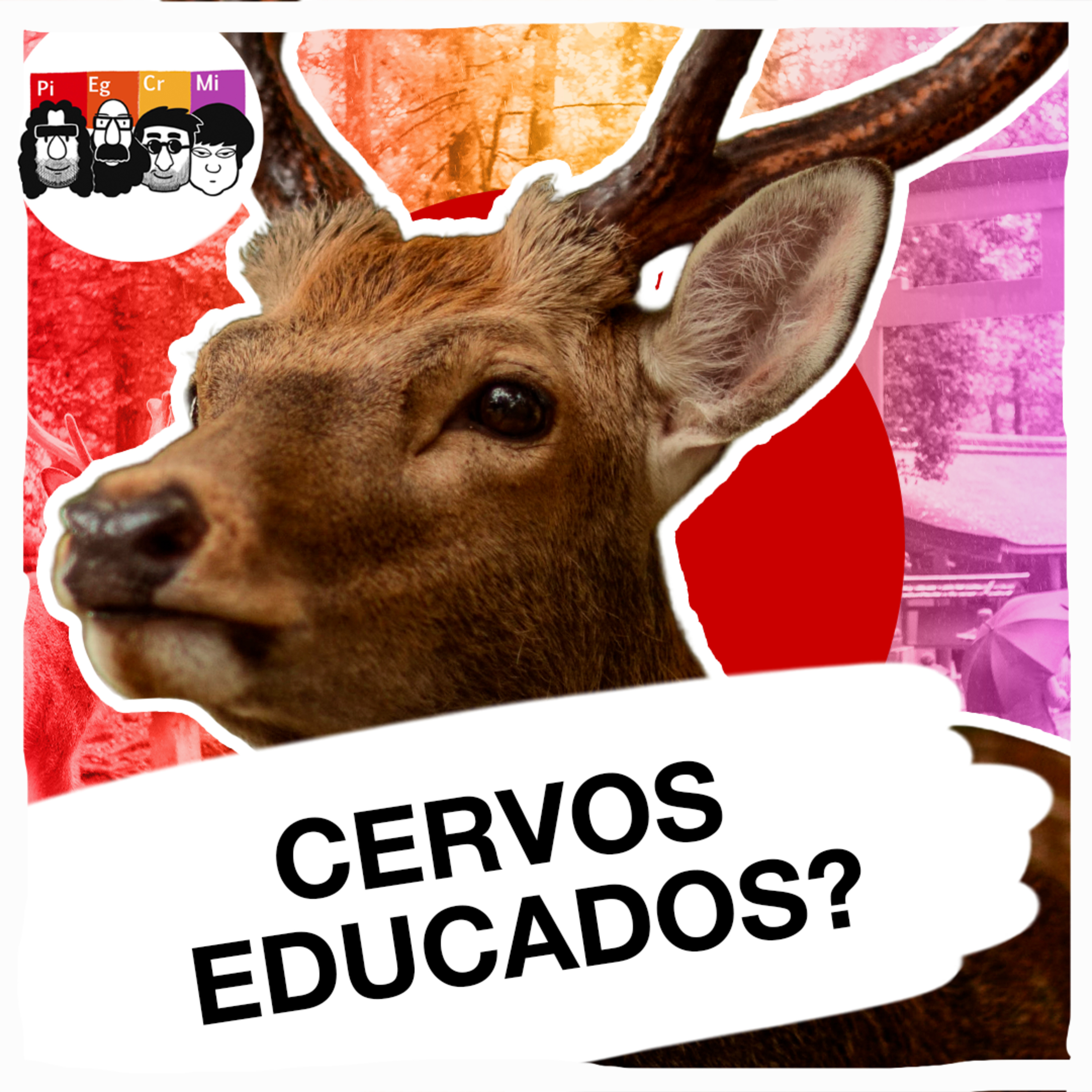 De onde veio a reverência dos cervos de Nara?