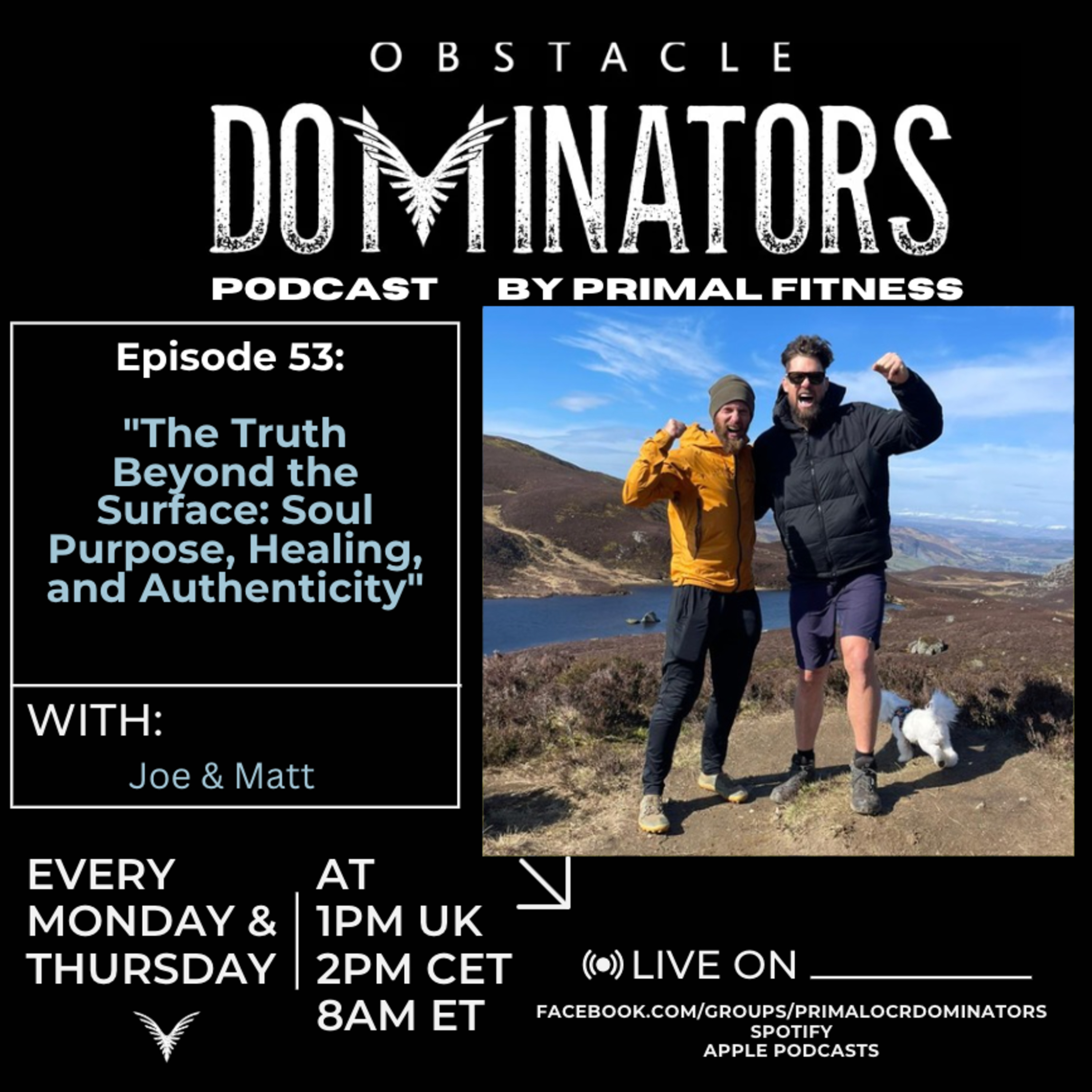 Episode 53: "The Truth Beyond the Surface: Soul Purpose, Healing, and Authenticity with Joe" episode artwork