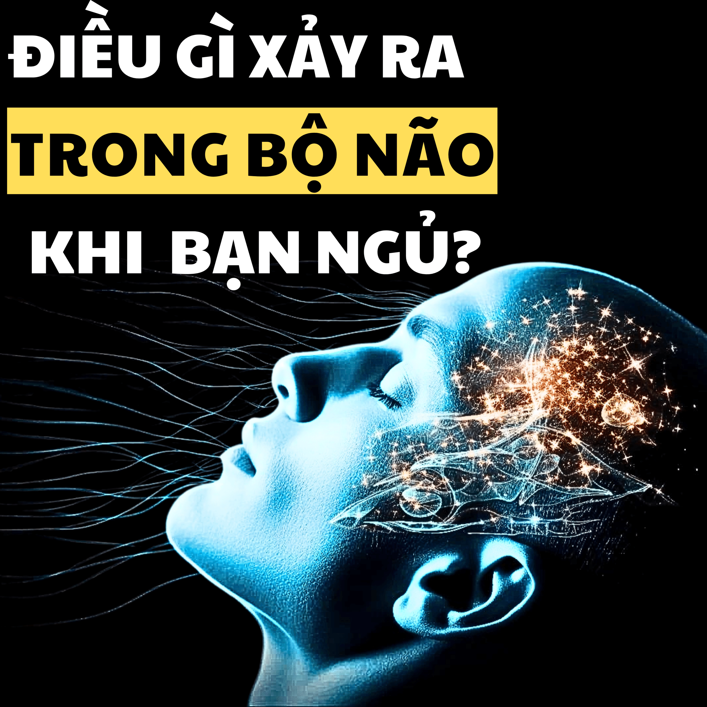 19. Bộ Não Làm Việc Cật Lực Ra Sao Khi Ta Ngủ? Câu Trả Lời Sẽ Khiến Bạn Kinh Ngạc! | Inner World Podcast