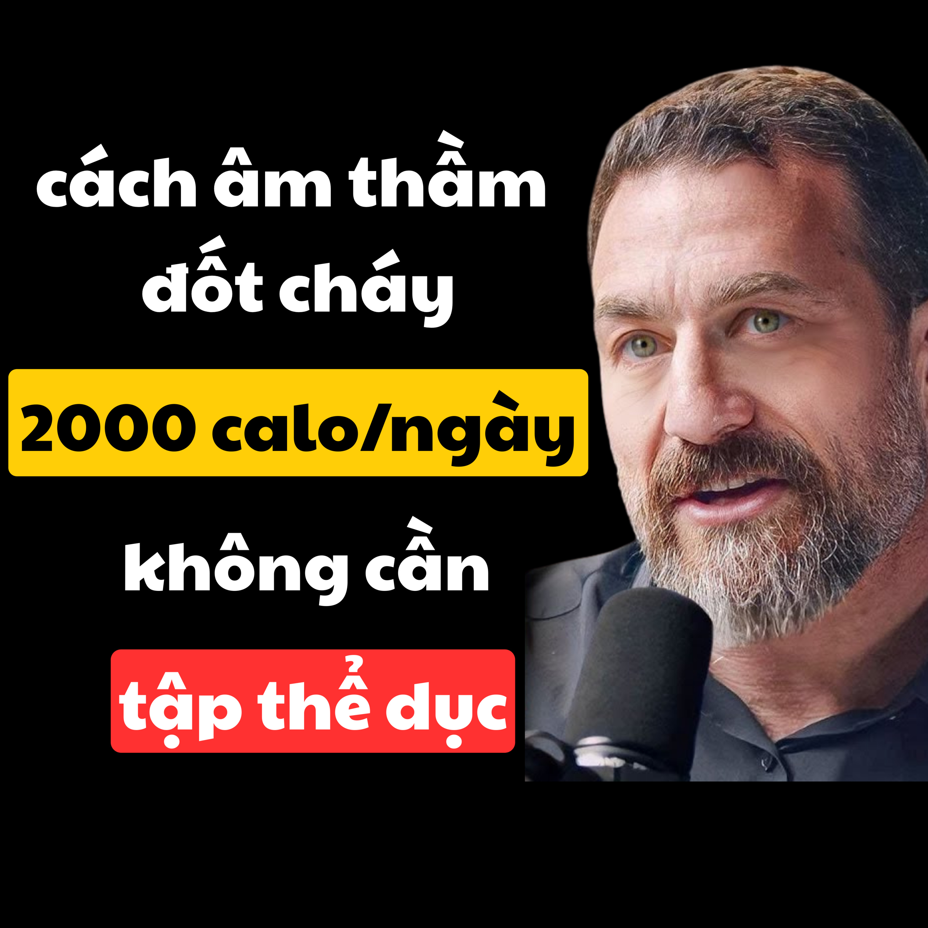 33. Cách Đốt Cháy 800- 2000 Calo Một Ngày Mà Không Cần Tập Thể Dục | Inner World Podcast episode artwork