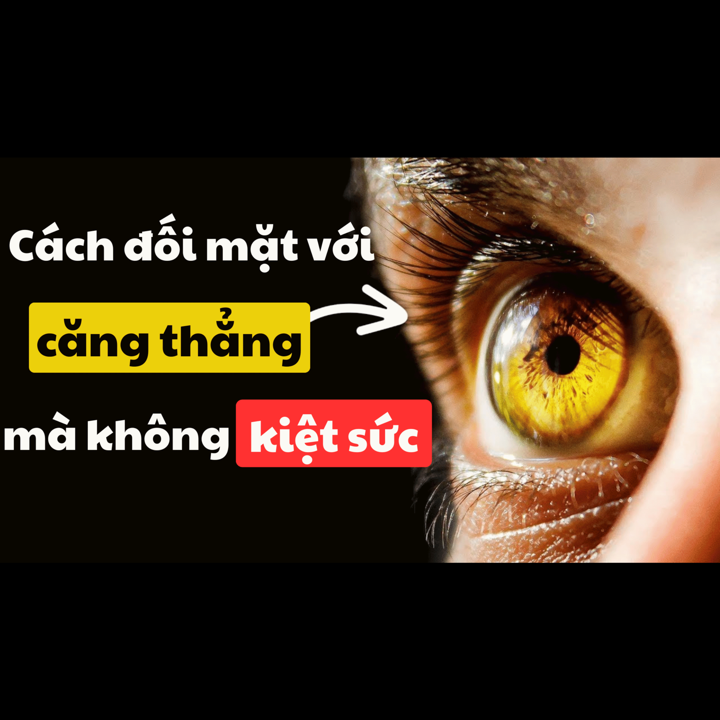 49. Khoa Học Mới về STRESS 🔥: Biến CĂNG THẲNG thành SIÊU NĂNG LỰC (chỉ = 1 thay đổi MINDSET tinh tế) | Inner World Podcast