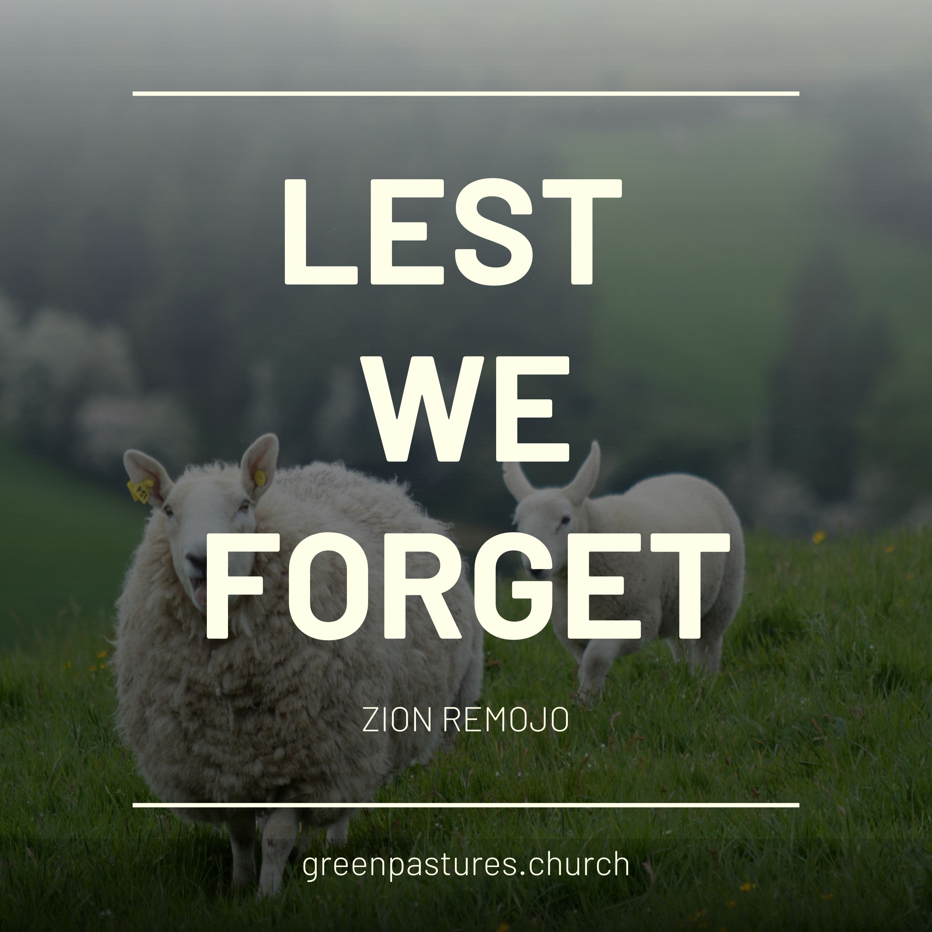 The Grace Experience Podcast