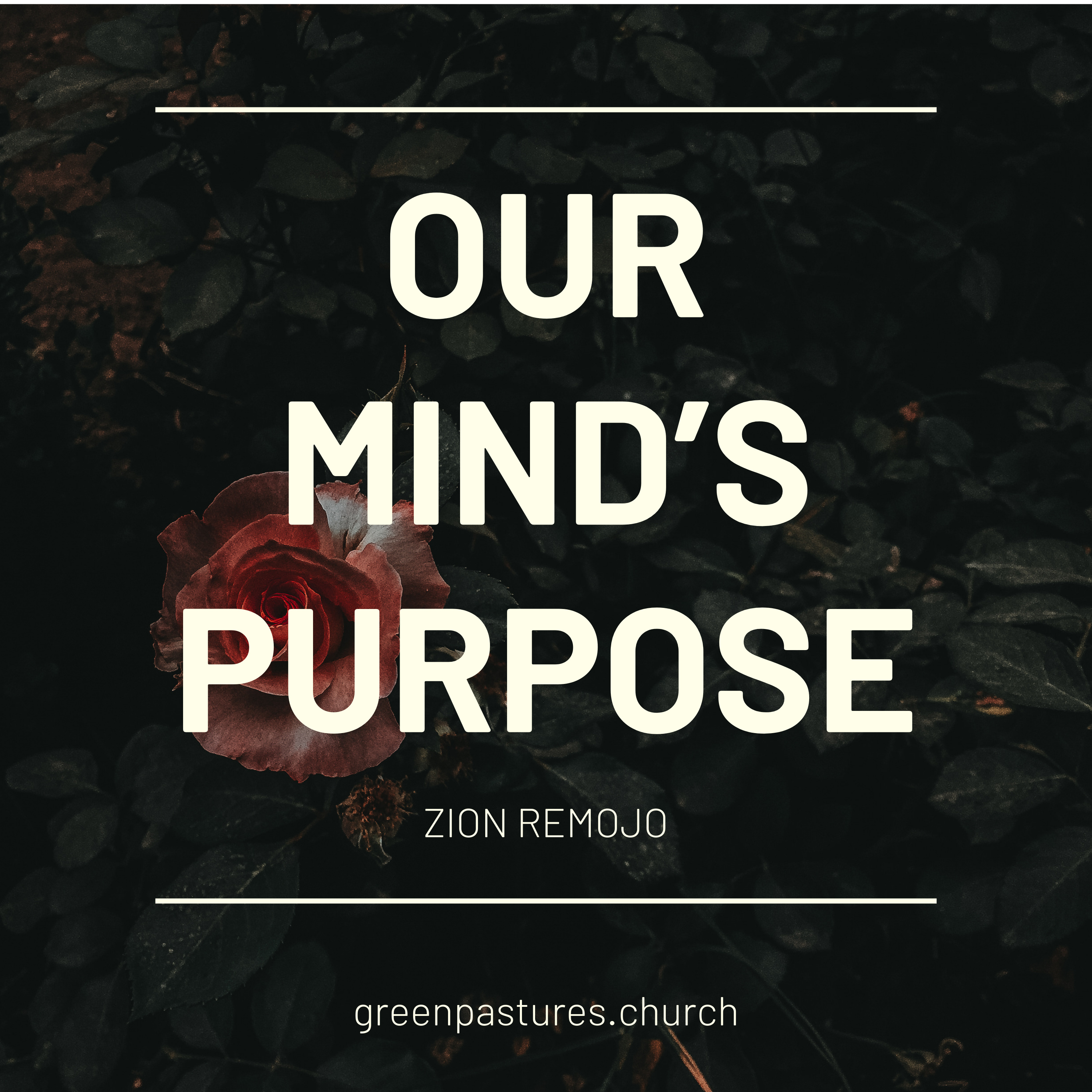 The Grace Experience Podcast