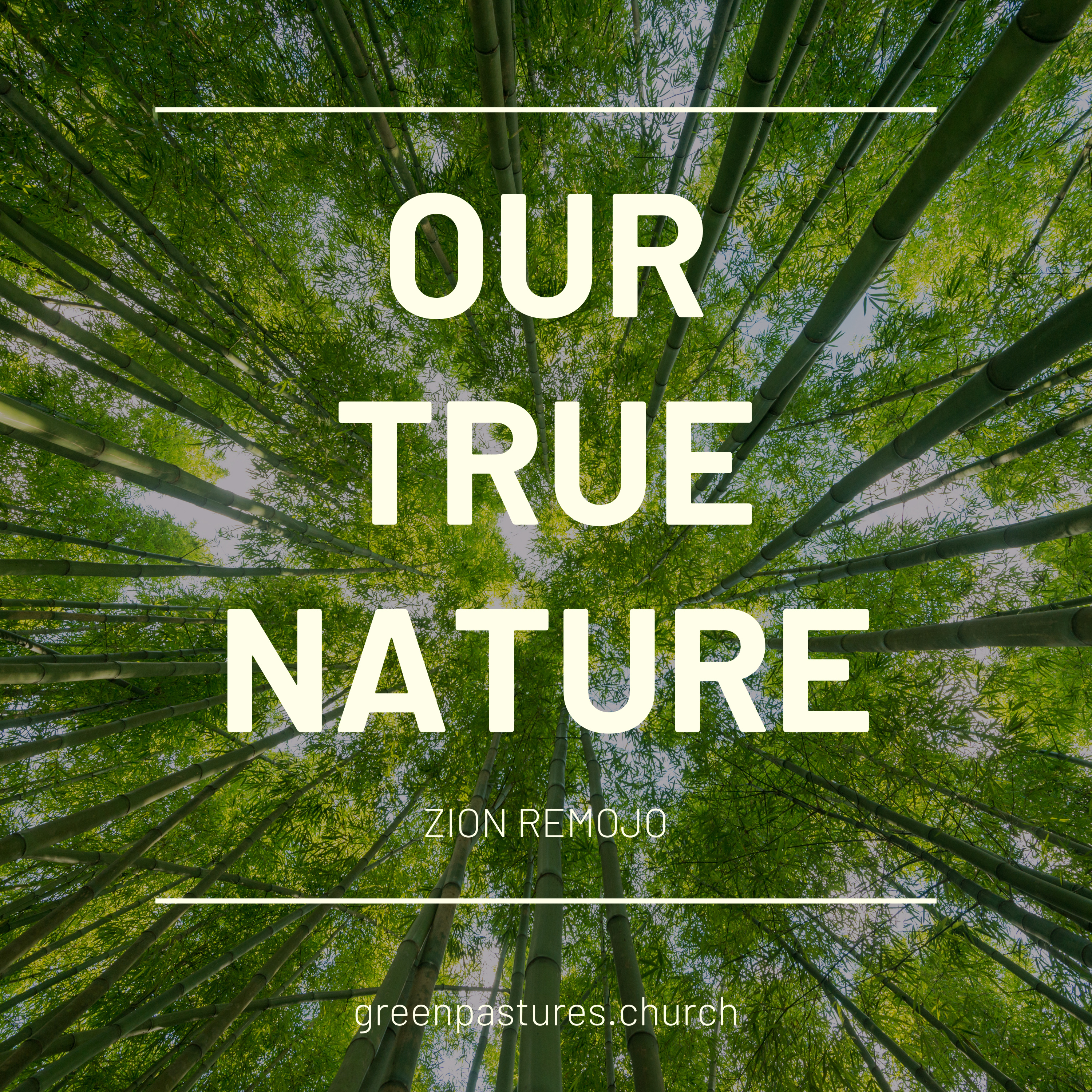 The Grace Experience Podcast