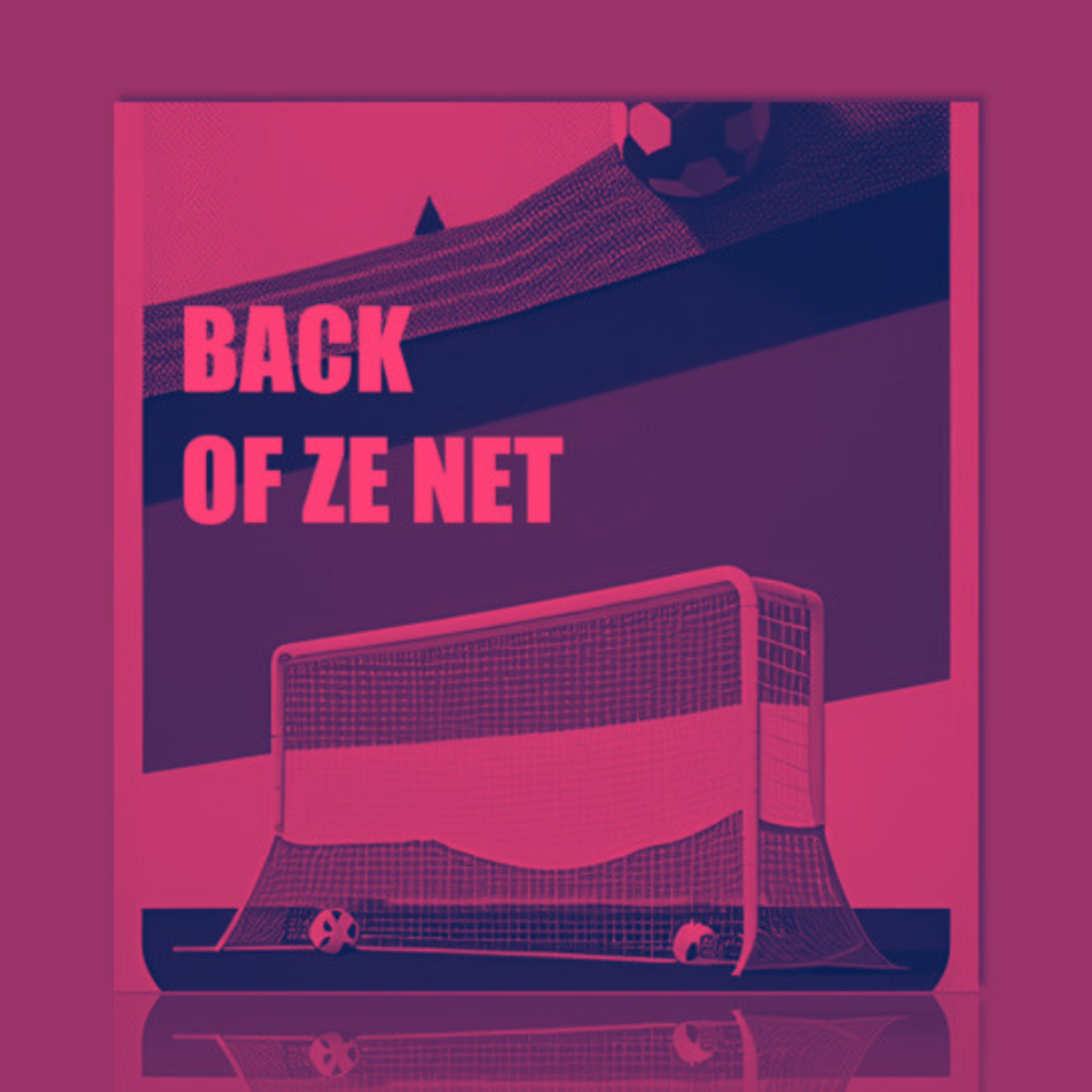 Back Of Ze Net