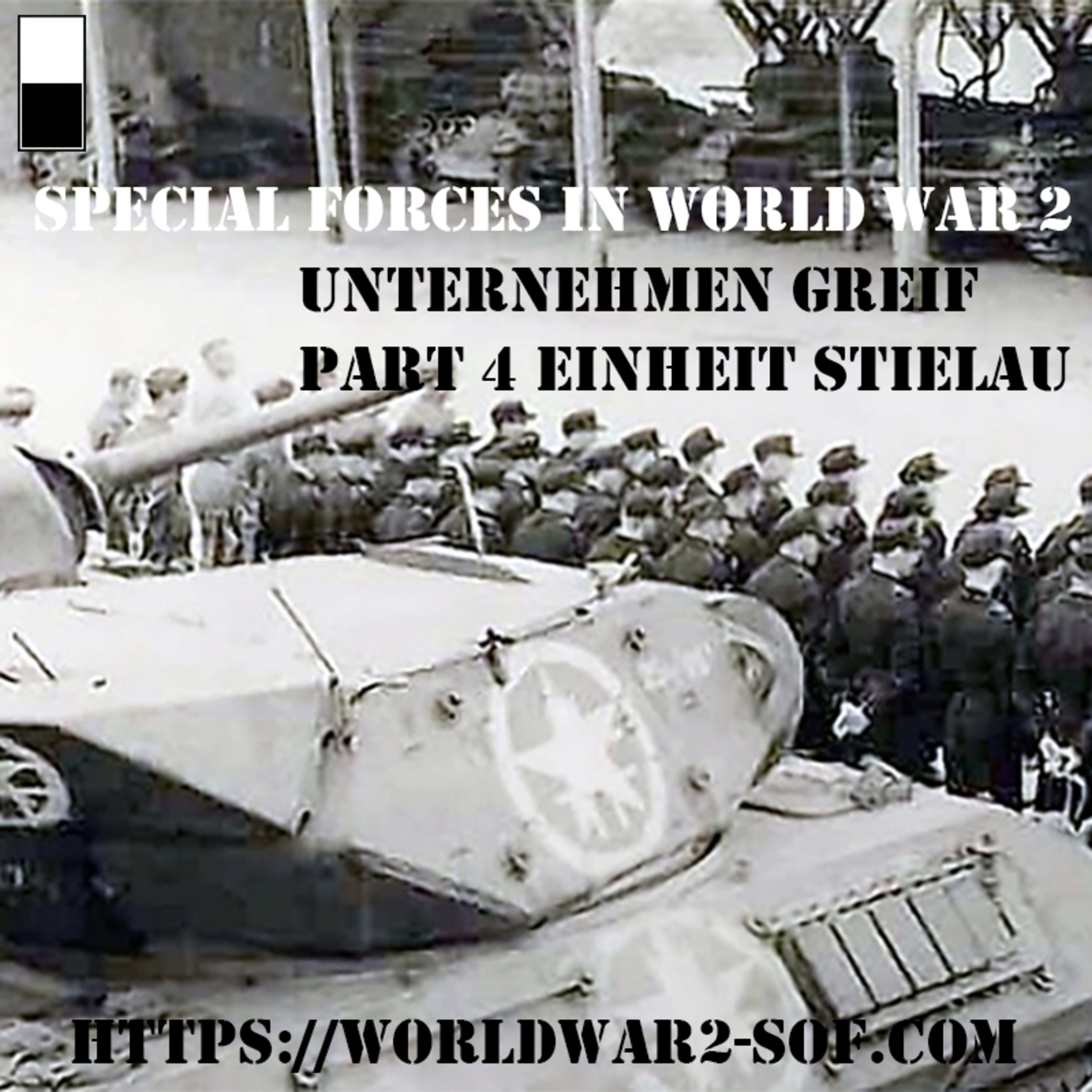 Unternehmen Greif, Part 4, Einheit Stielau 