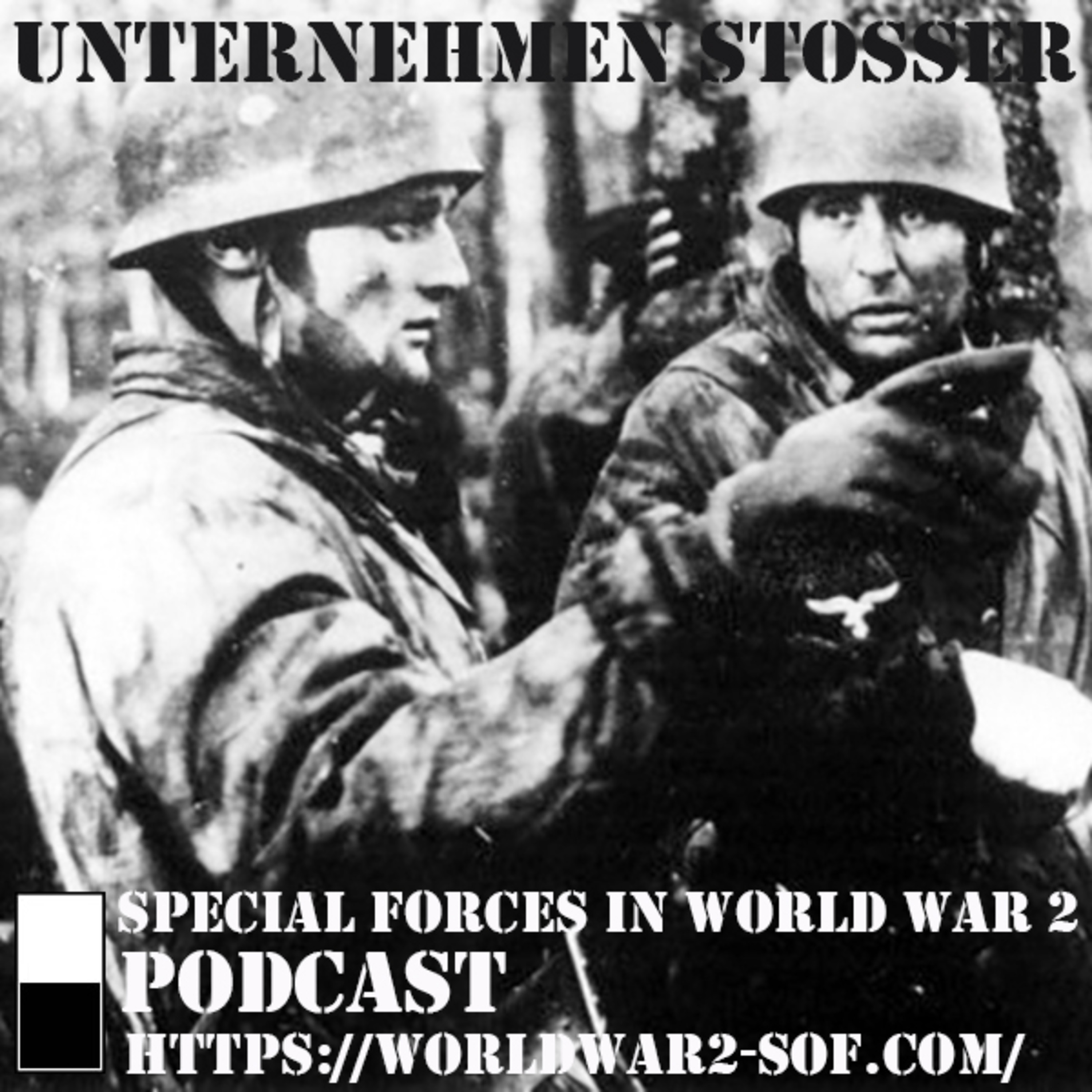 Unternehmen Stößer, Germany's last airborne operation.