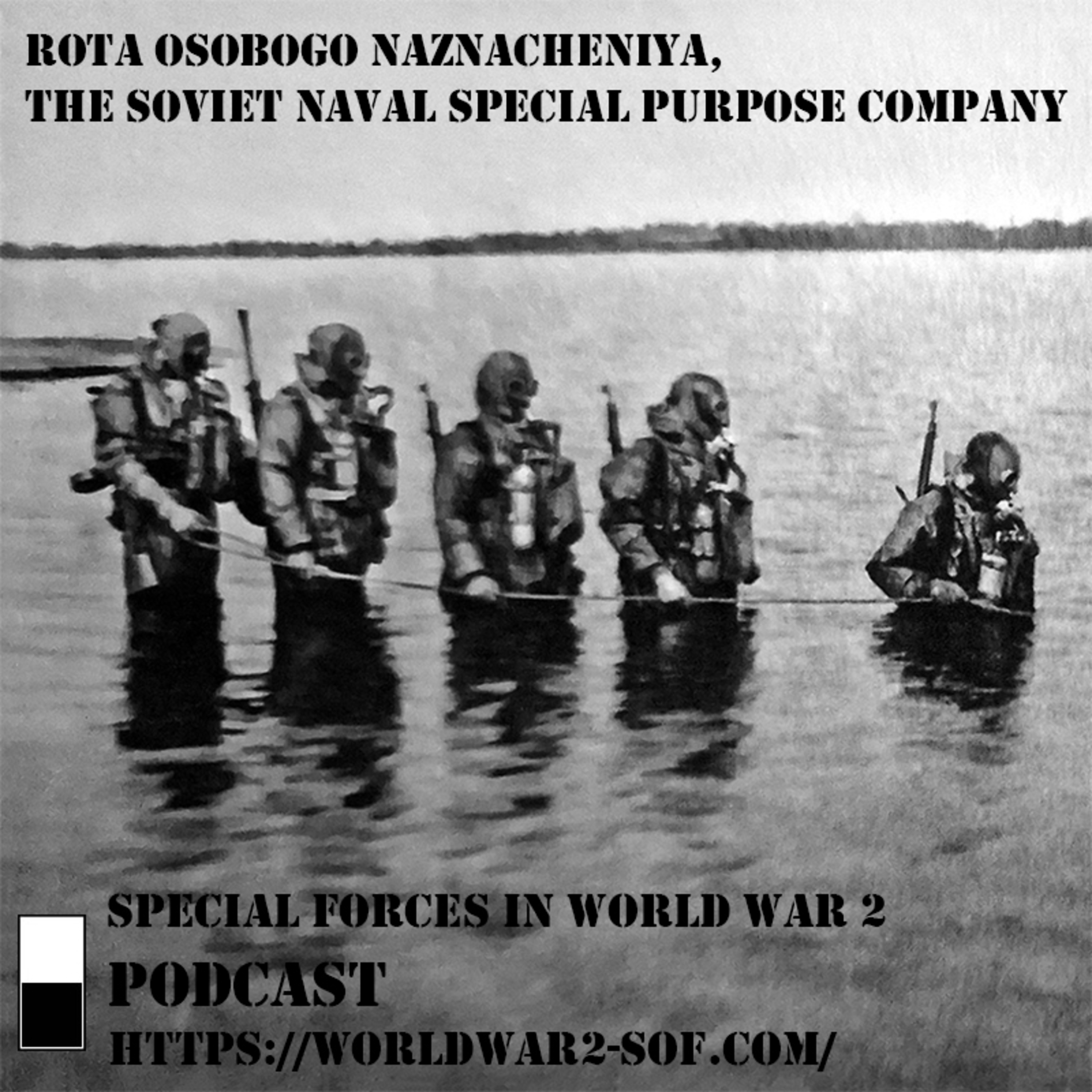 Rota Osobogo Naznacheniya, the Soviet Naval Special Purpose Company