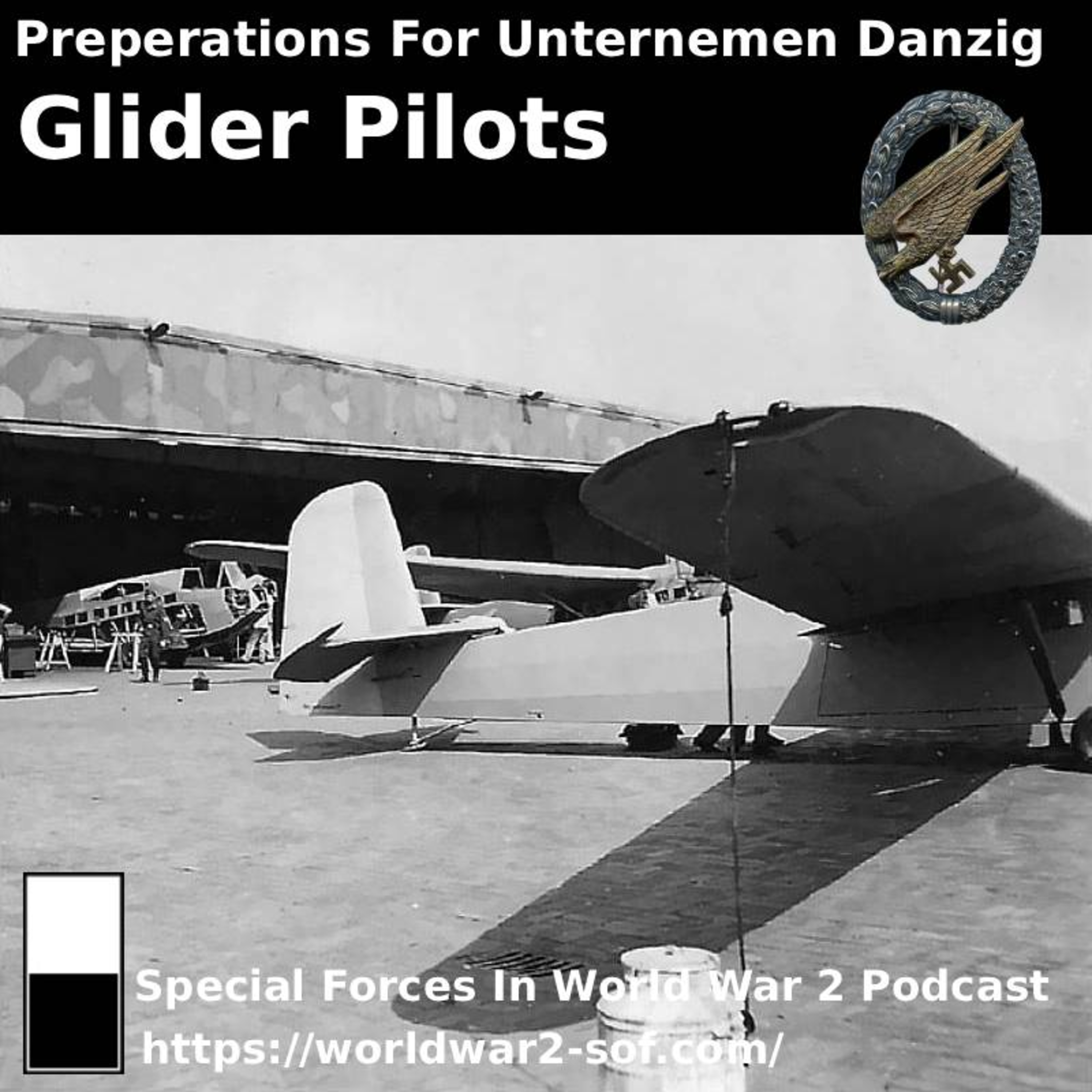 Preperations For Unternehmen Danzig, Glider Pilots episode artwork