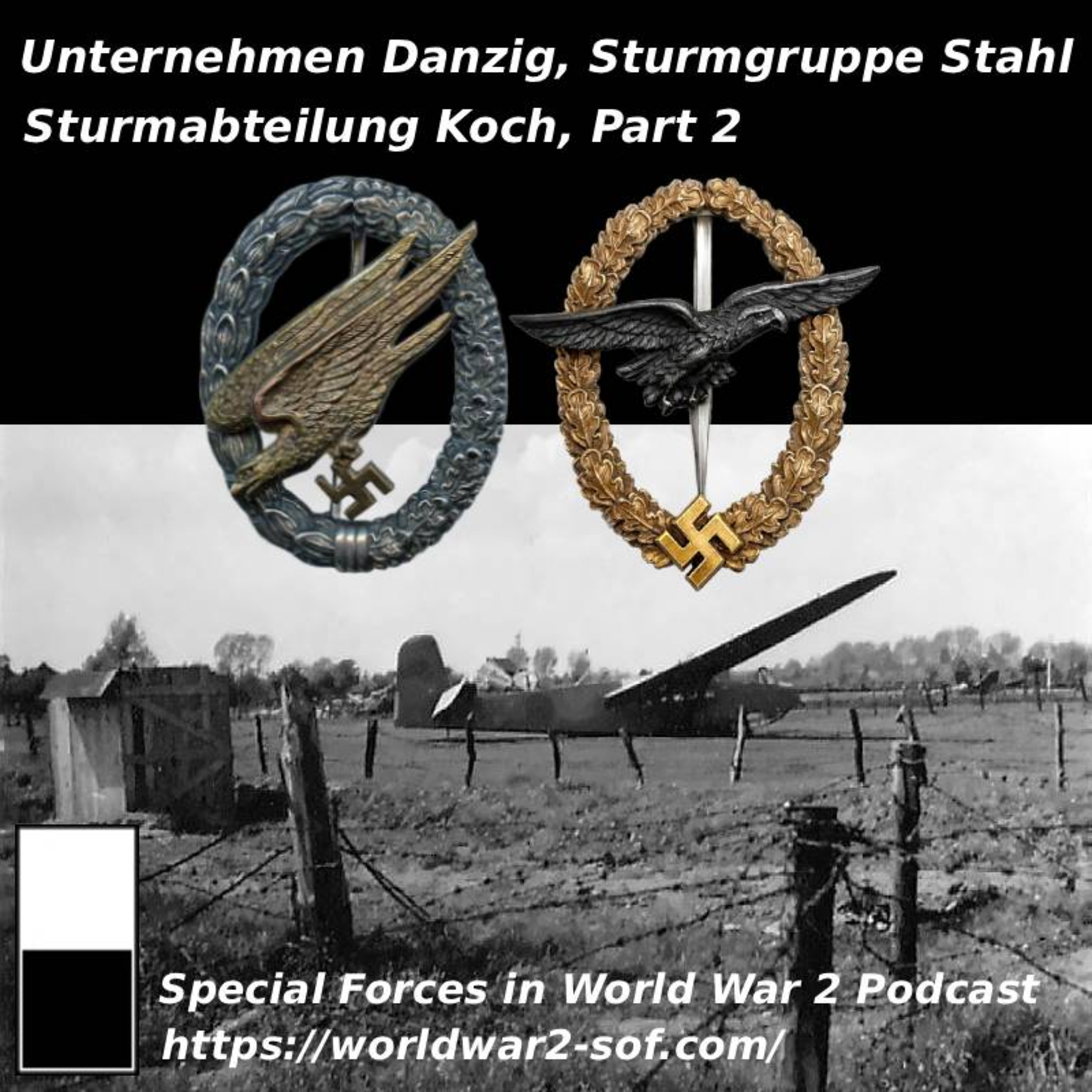 Unternehmen Danzig, Sturmgruppe Stahl, Part 2 episode artwork