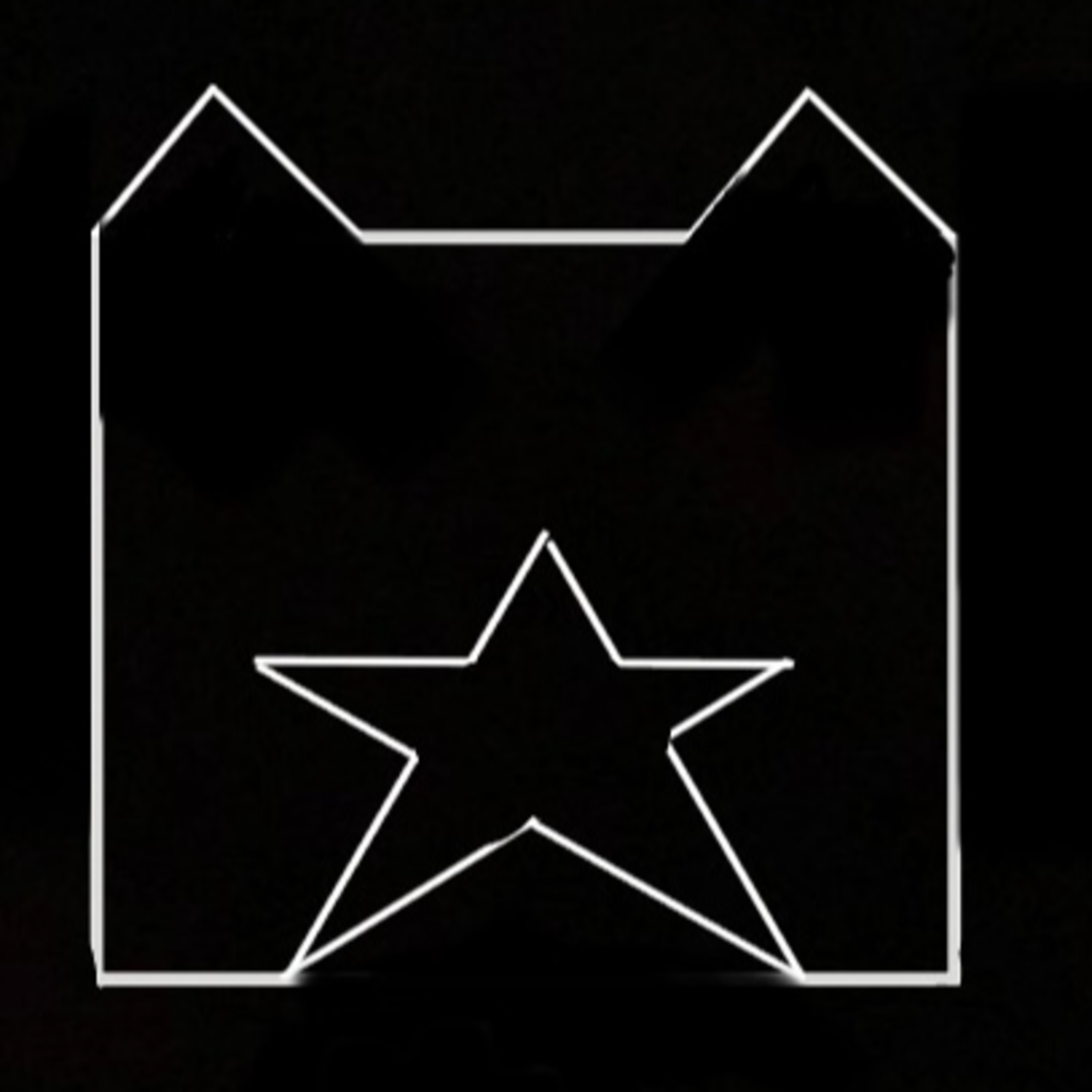 The StarClan Stargazers