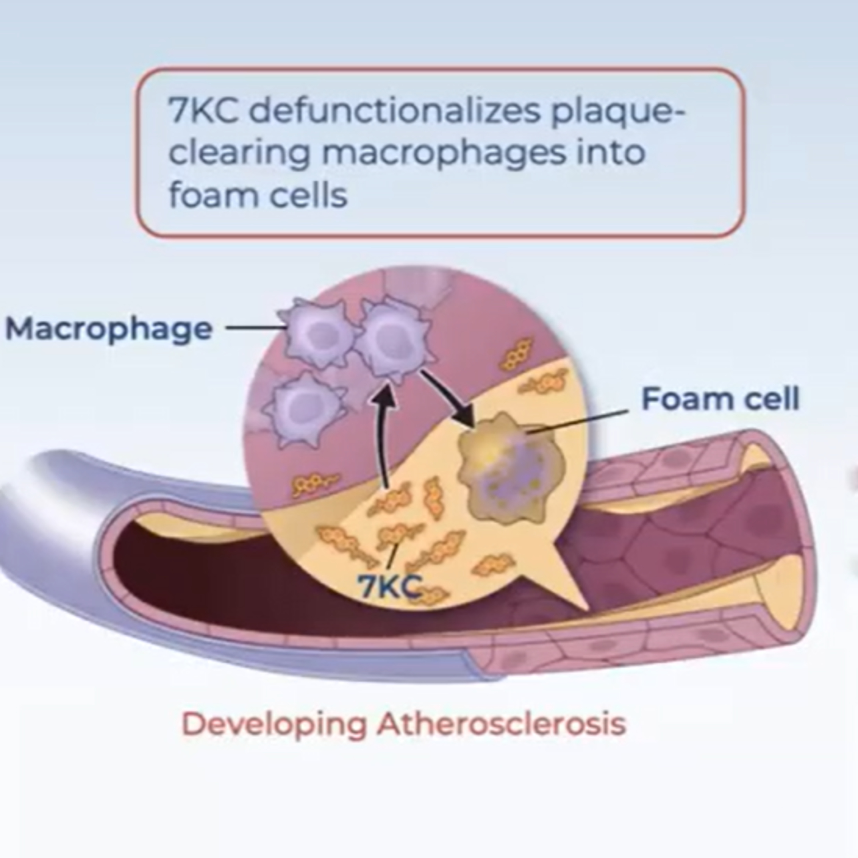 99. Cyclarity Therapeutics: Revolutionizing Age-Related Disease Treatment through Unique Drug Design episode artwork