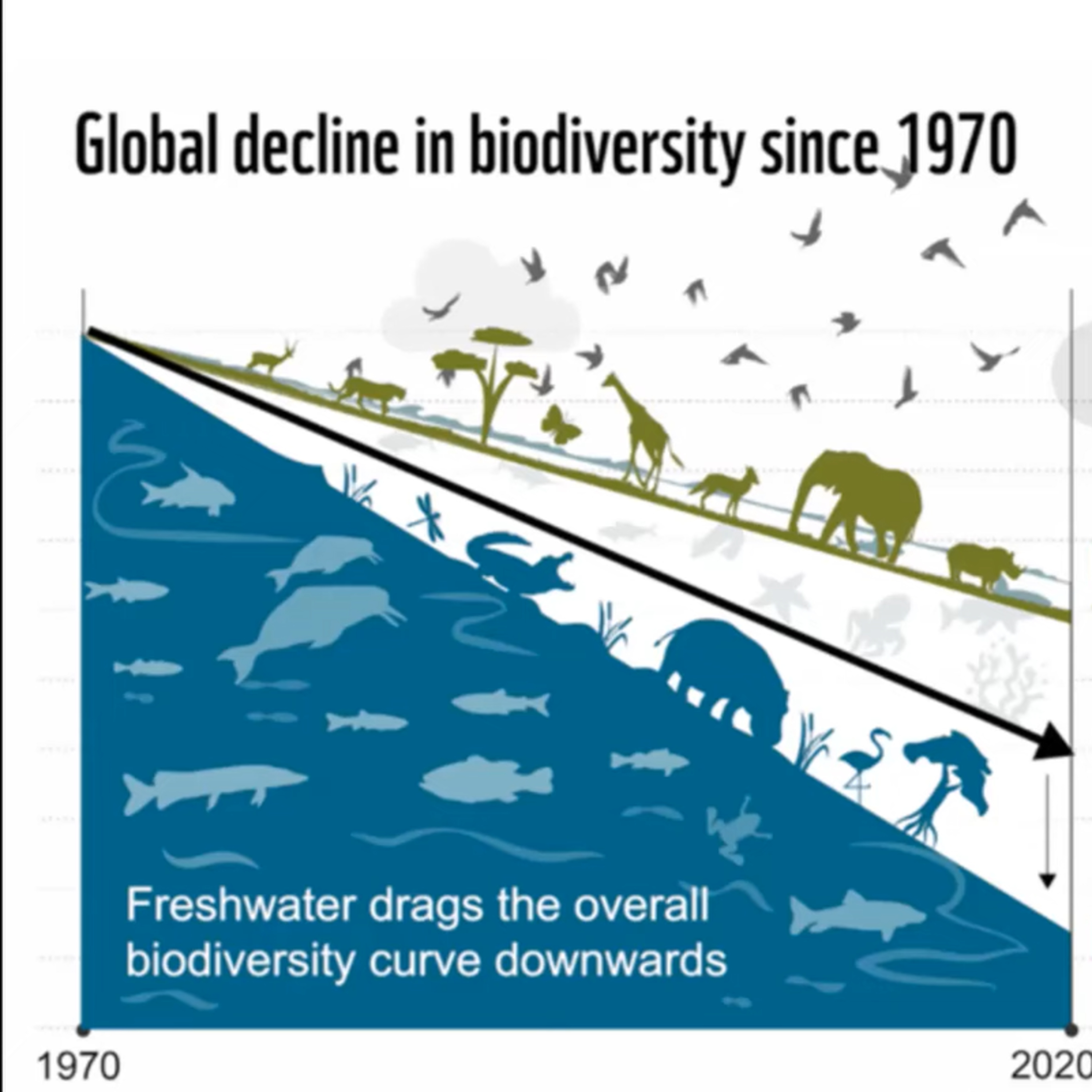 140. Airborne Biodiversity Genomics – global-scale nature, wildlife and pathogen monitoring episode artwork