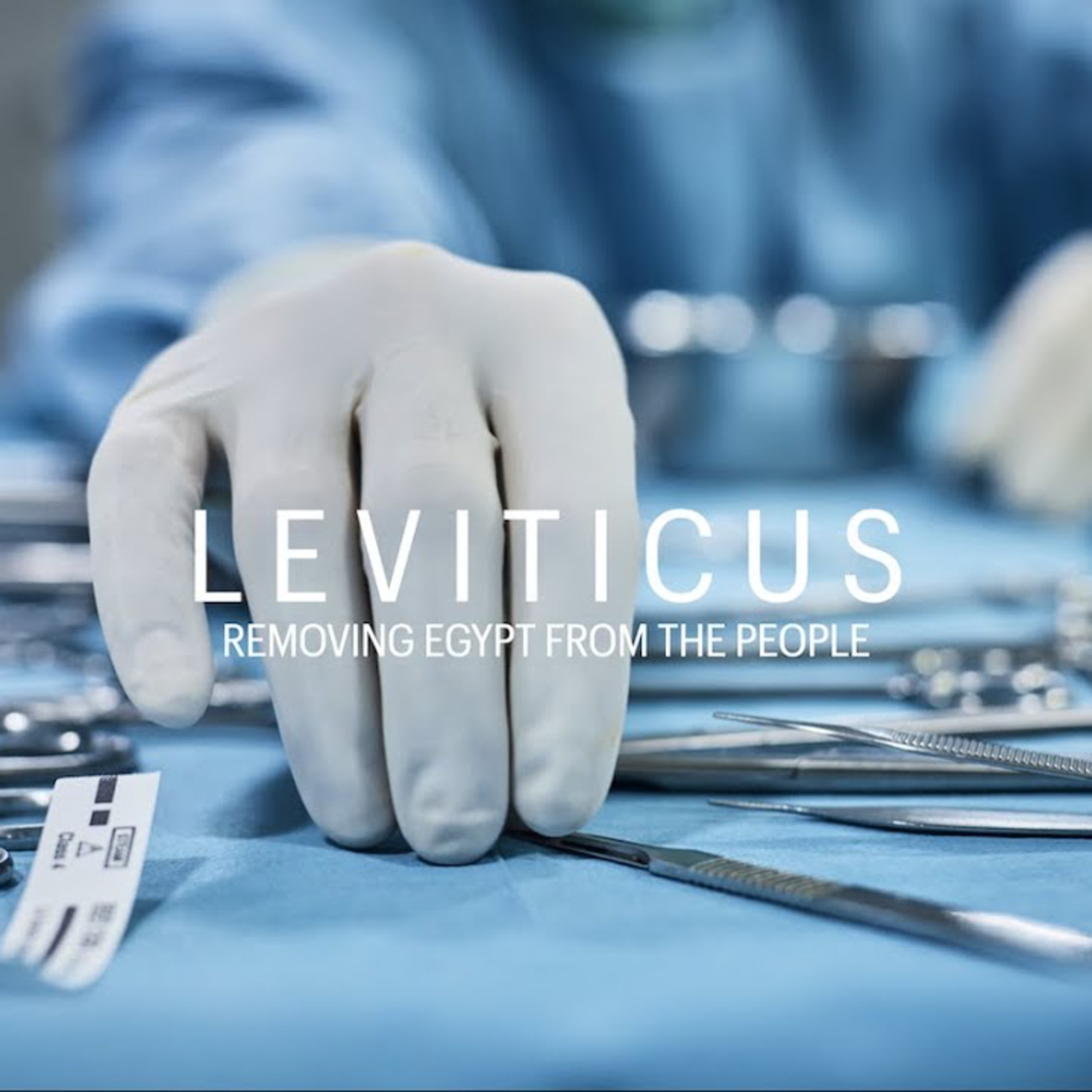 Leviticus 23 (Part 1) episode artwork