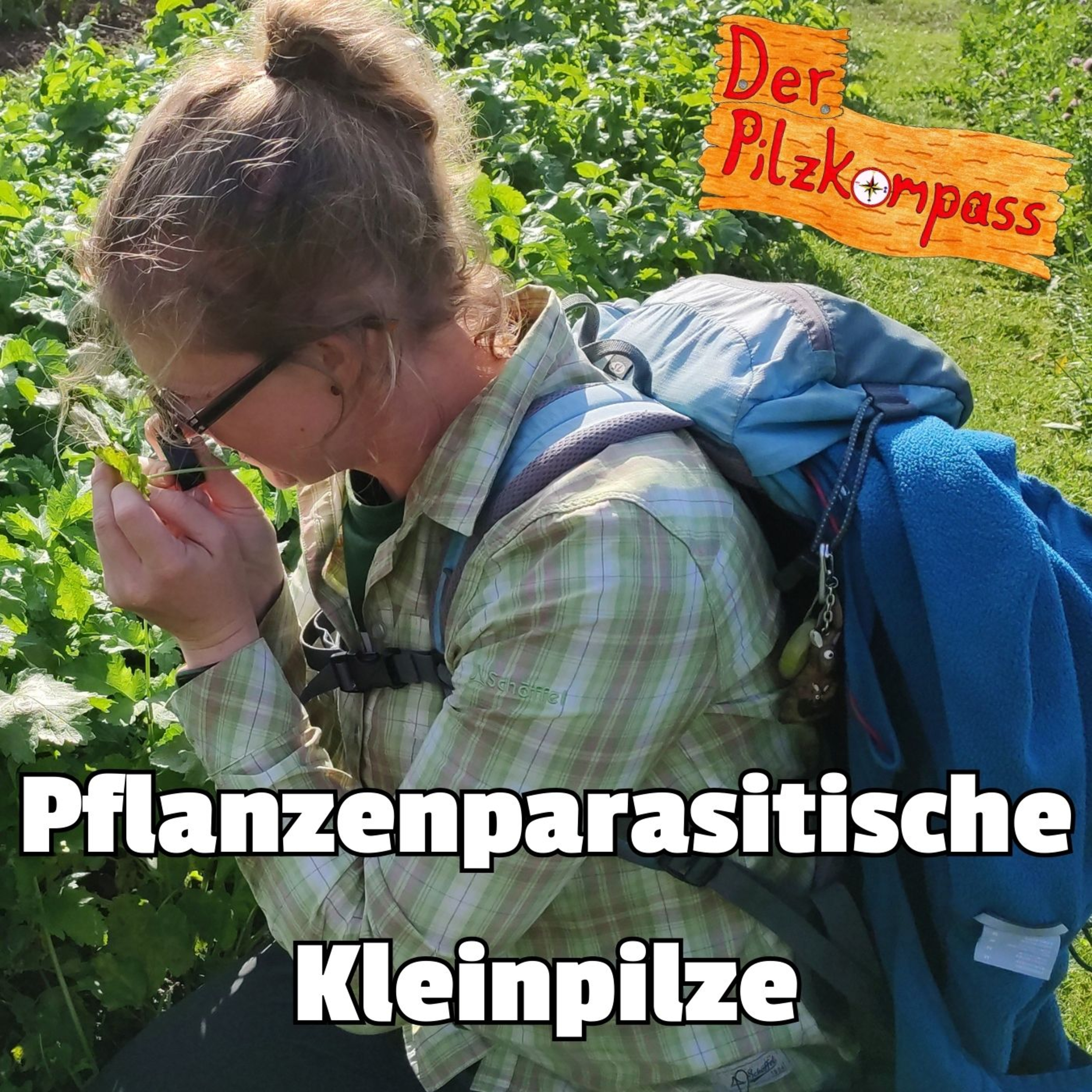 55 Pflanzen & Pilze - eine gefährliche Liaison? - Phytoparasitische Kleinpilze mit Dr. Julia Kruse episode artwork